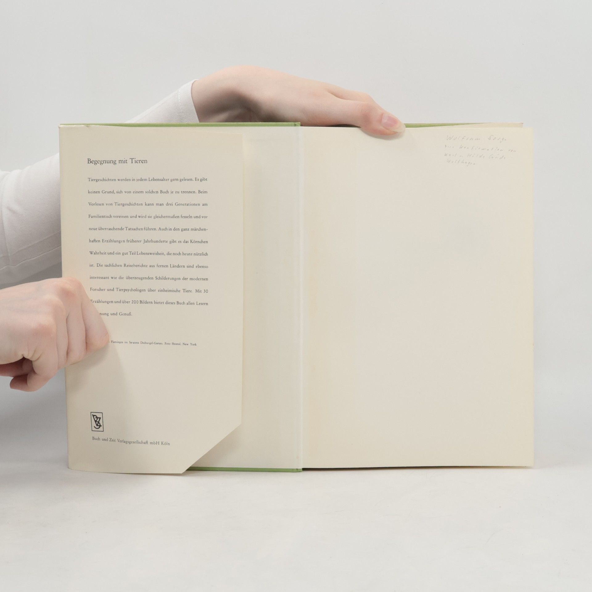 Autorenkollektiv Begegnung mit Tieren