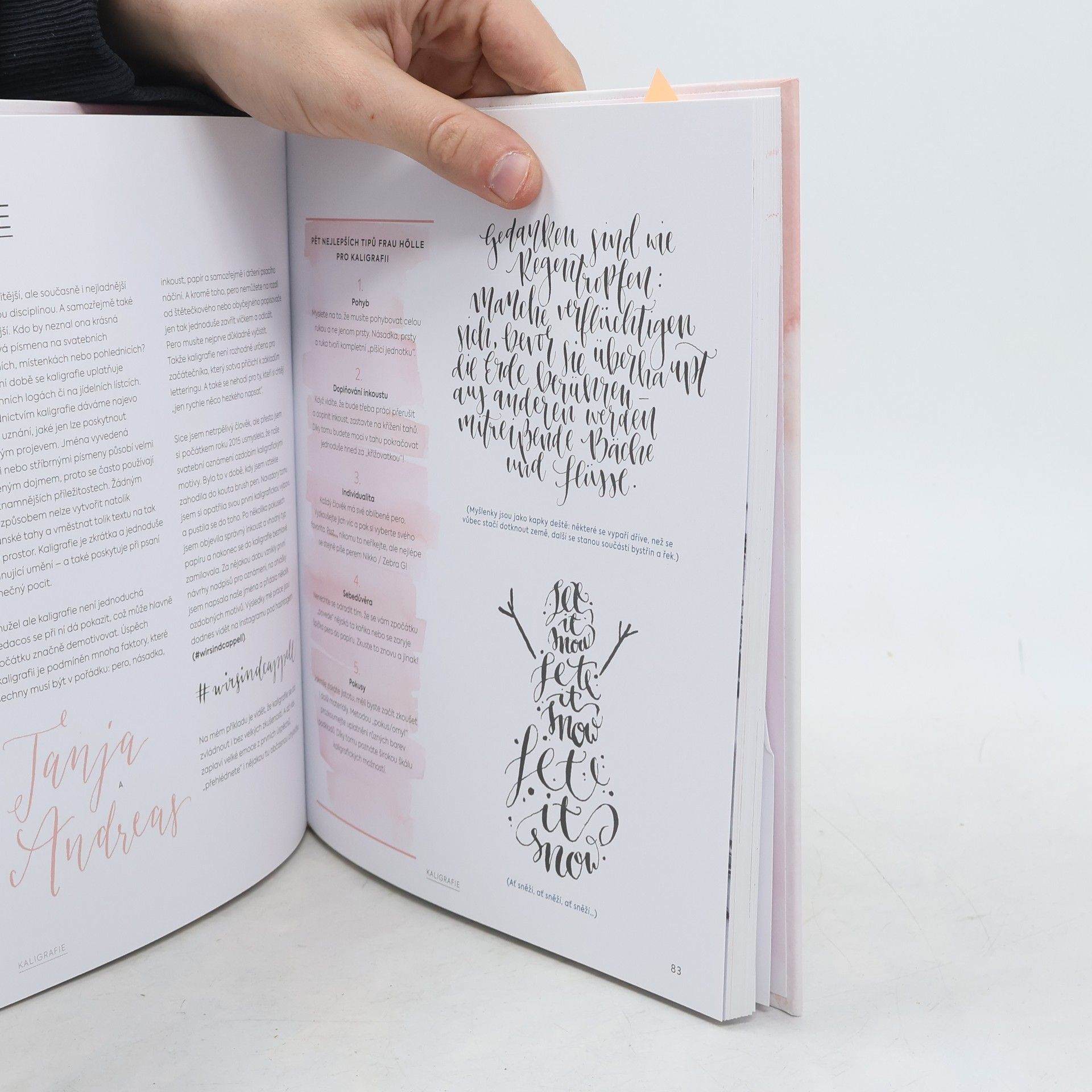 Tanja Cappell Abeceda krasopsaní : základy letteringu krok za krokem