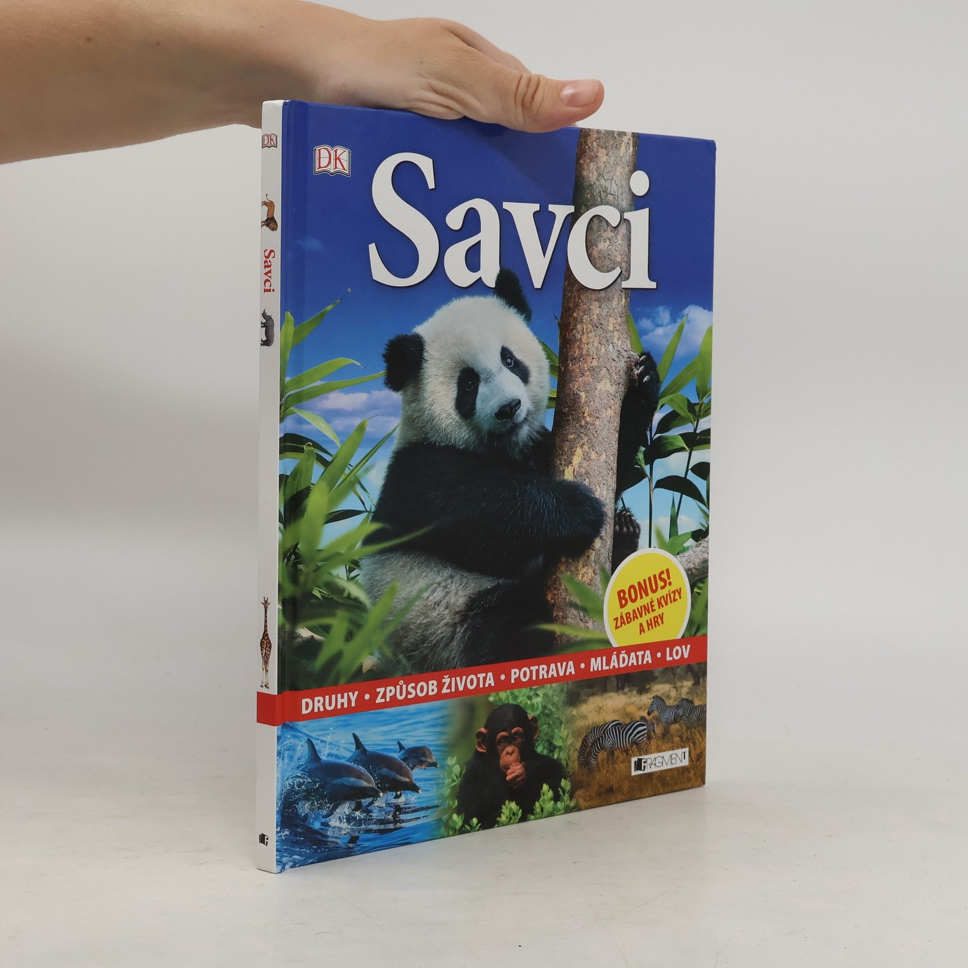 Savci