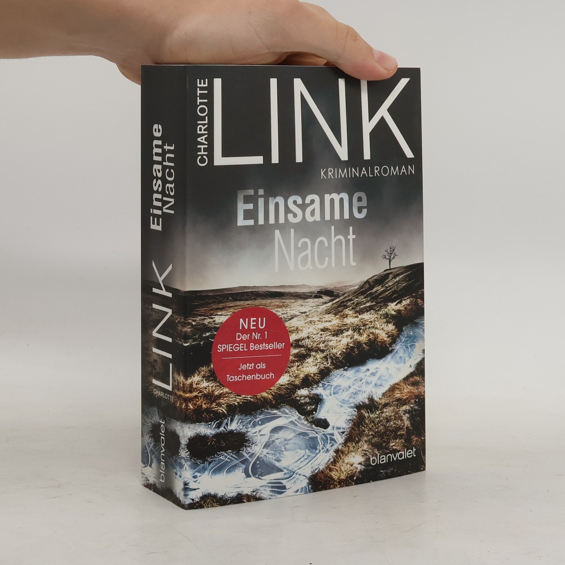 Charlotte Link Einsame Nacht