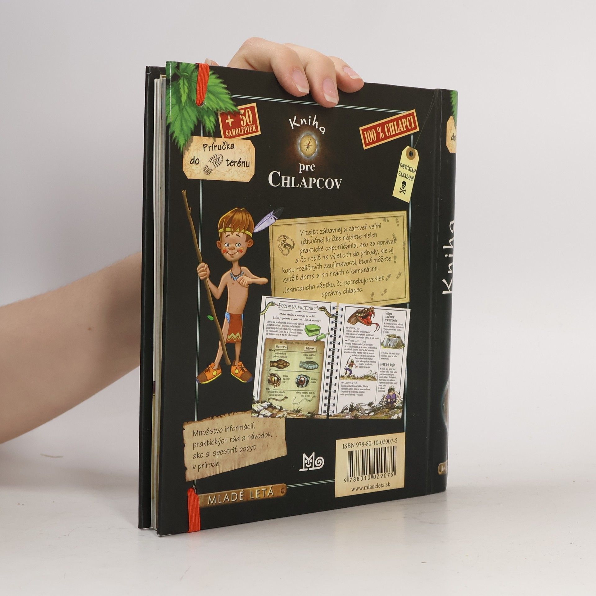 Various authors Kniha pre chlapcov