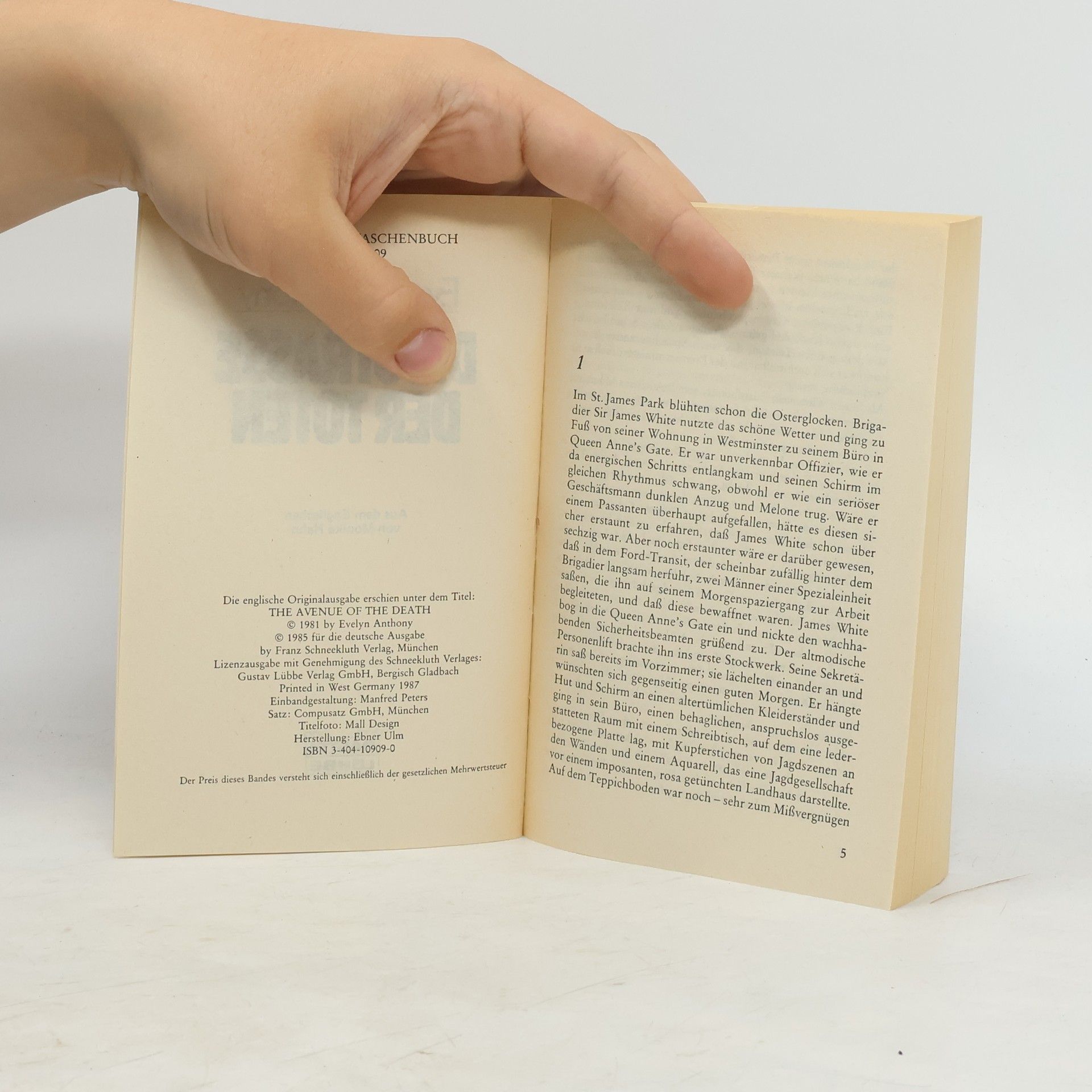 Evelyn Anthony Allgemeine Reihe: Die Strasse der Toten