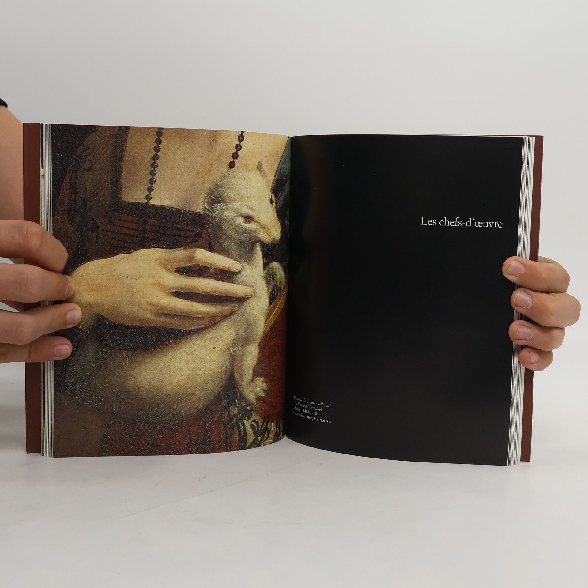 Lucia Aquino Les Classiques de l'Art: Léonard de Vinci