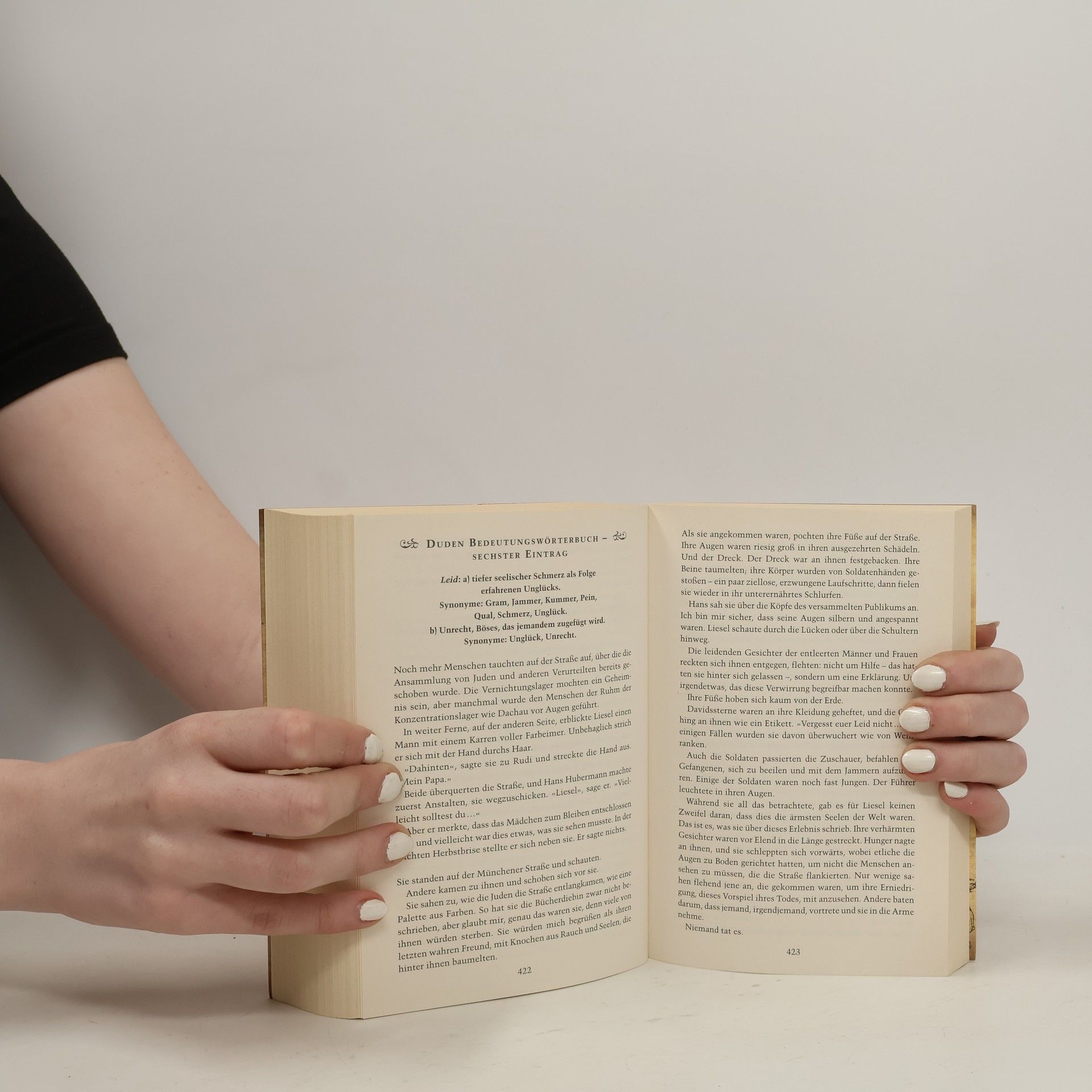 Markus Zusak Die Bücherdiebin: Roman