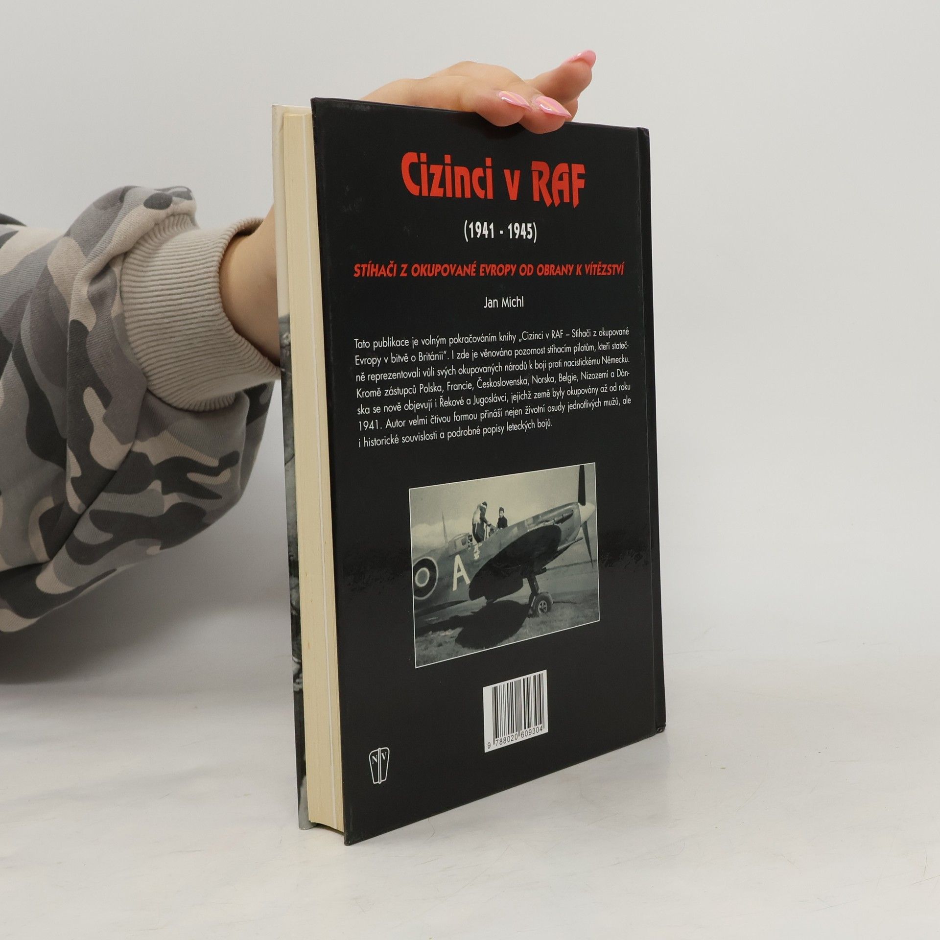 Jan Michl Cizinci v RAF - stíhači z okupované Evropy od obrany k vítězství (1941-45)