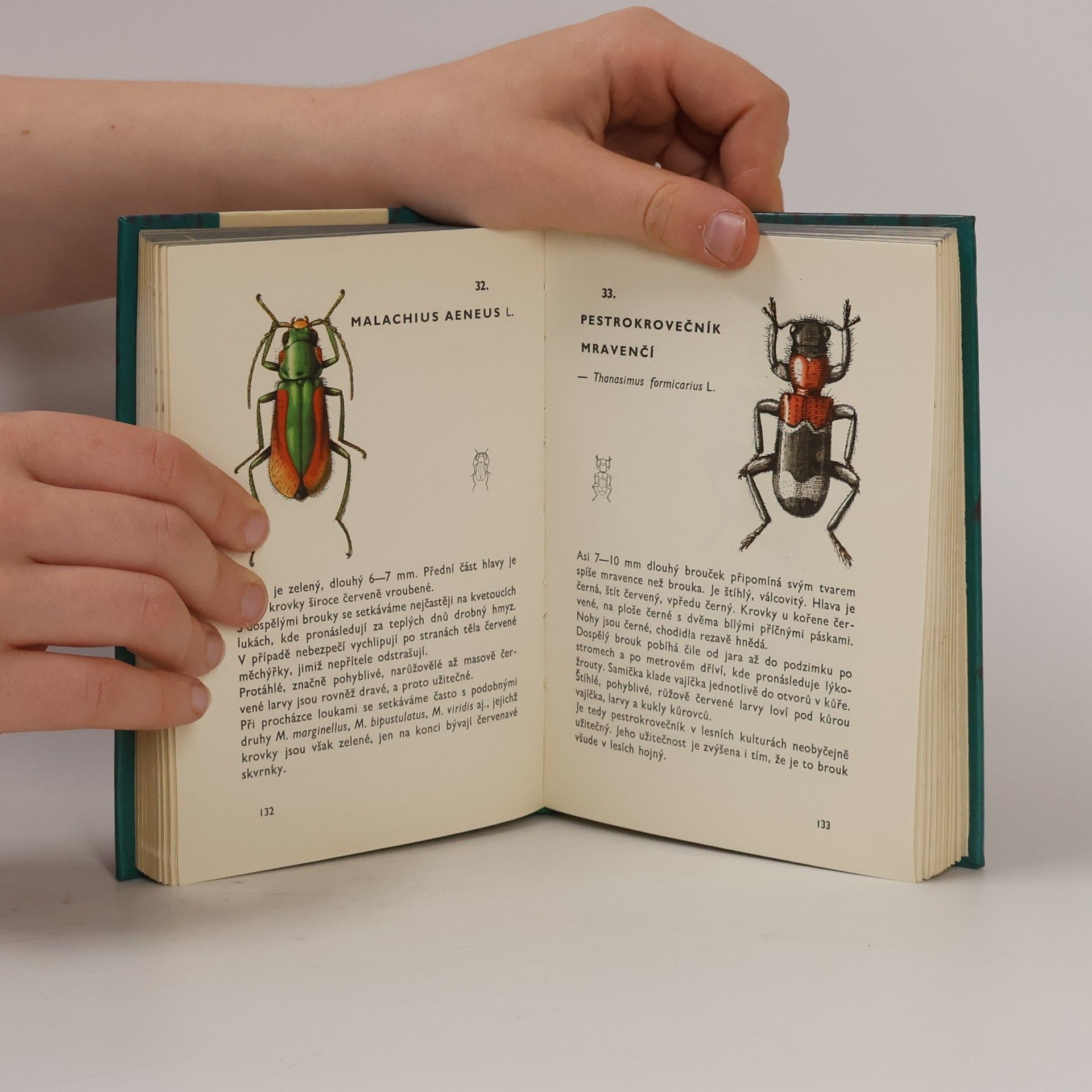 Vladimír Javorek Kapesní atlas brouků
