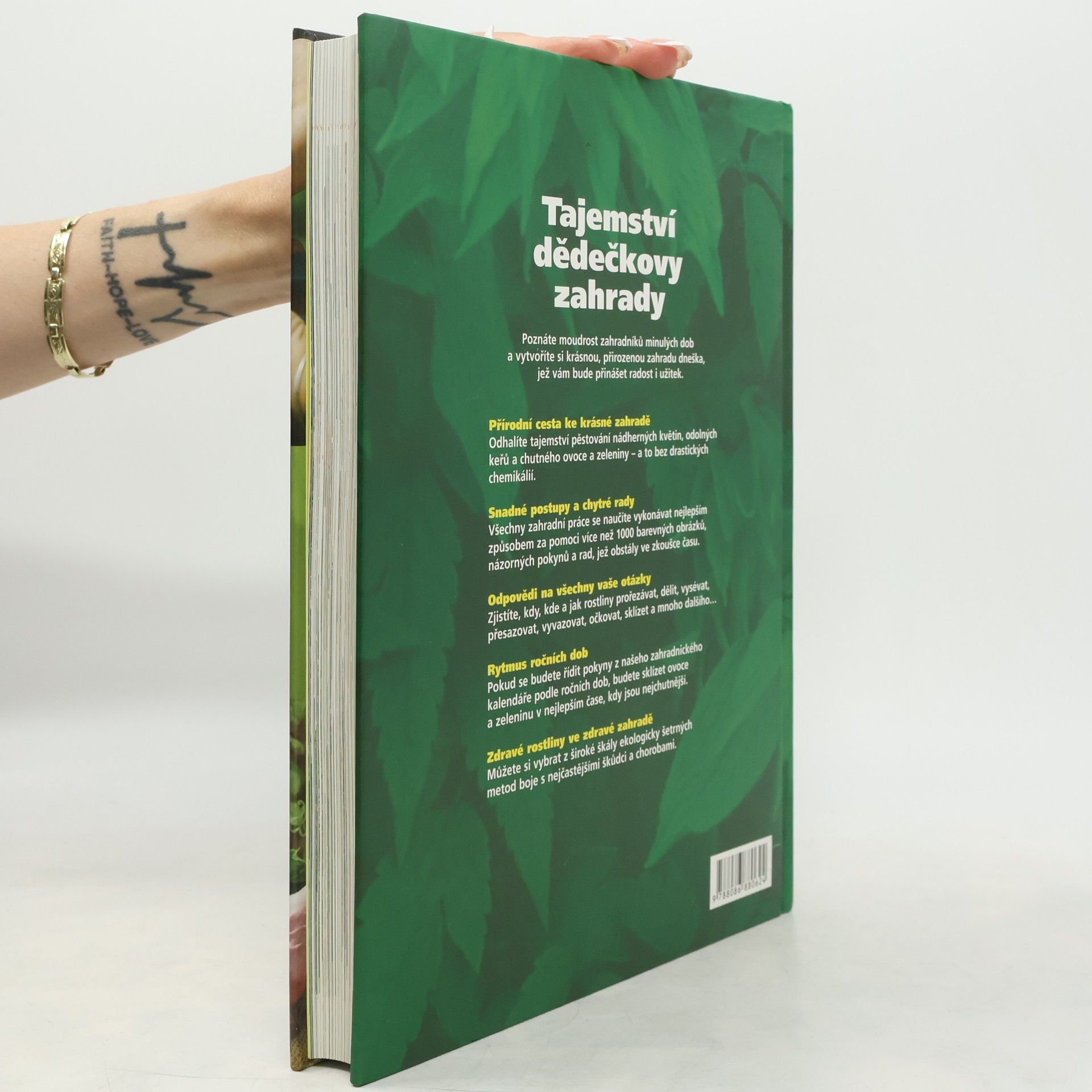 Vincent Gradwell Tajemství dědečkovy zahrady