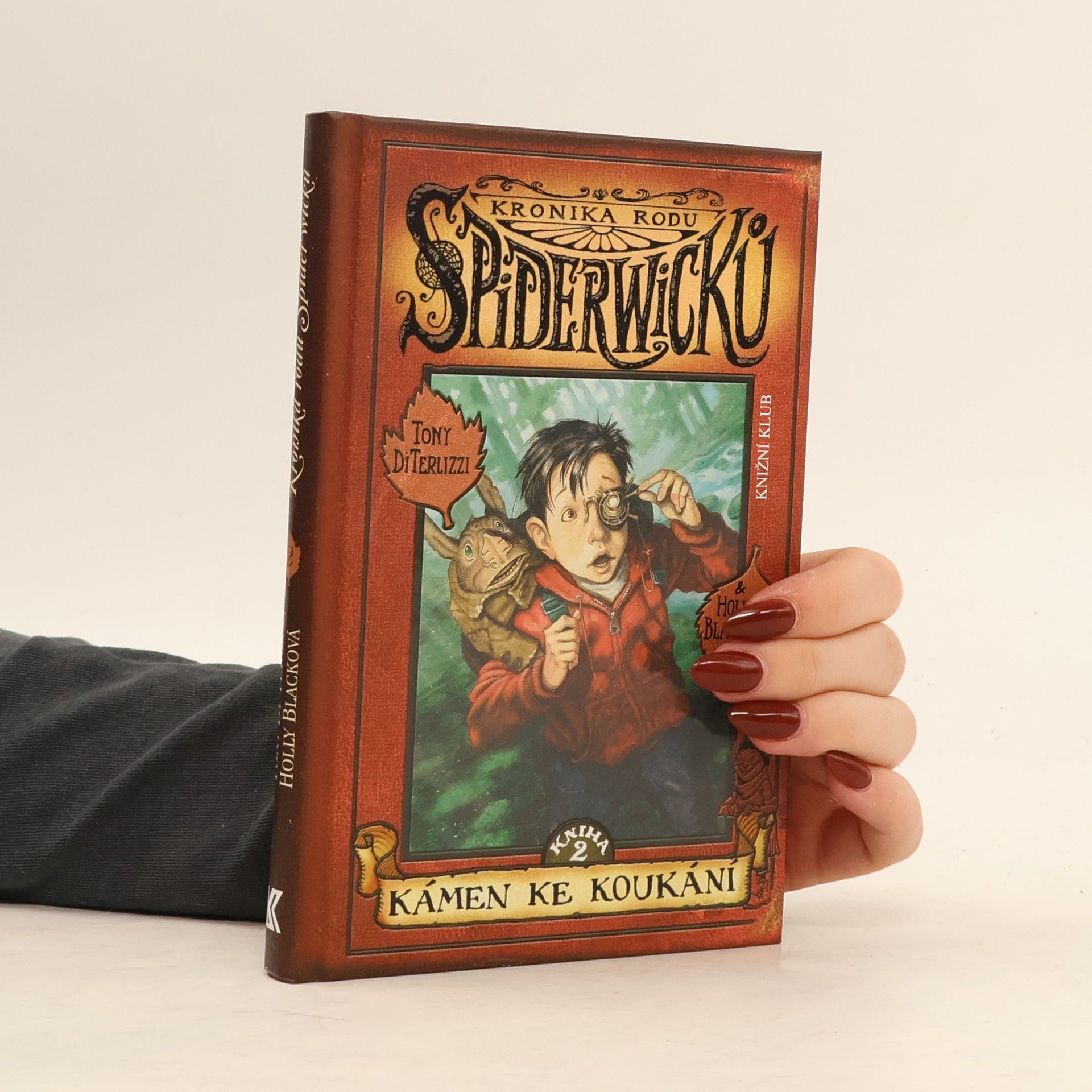 Tony DiTerlizzi Kronika rodu Spiderwicků. Kniha 2, Kámen ke koukání