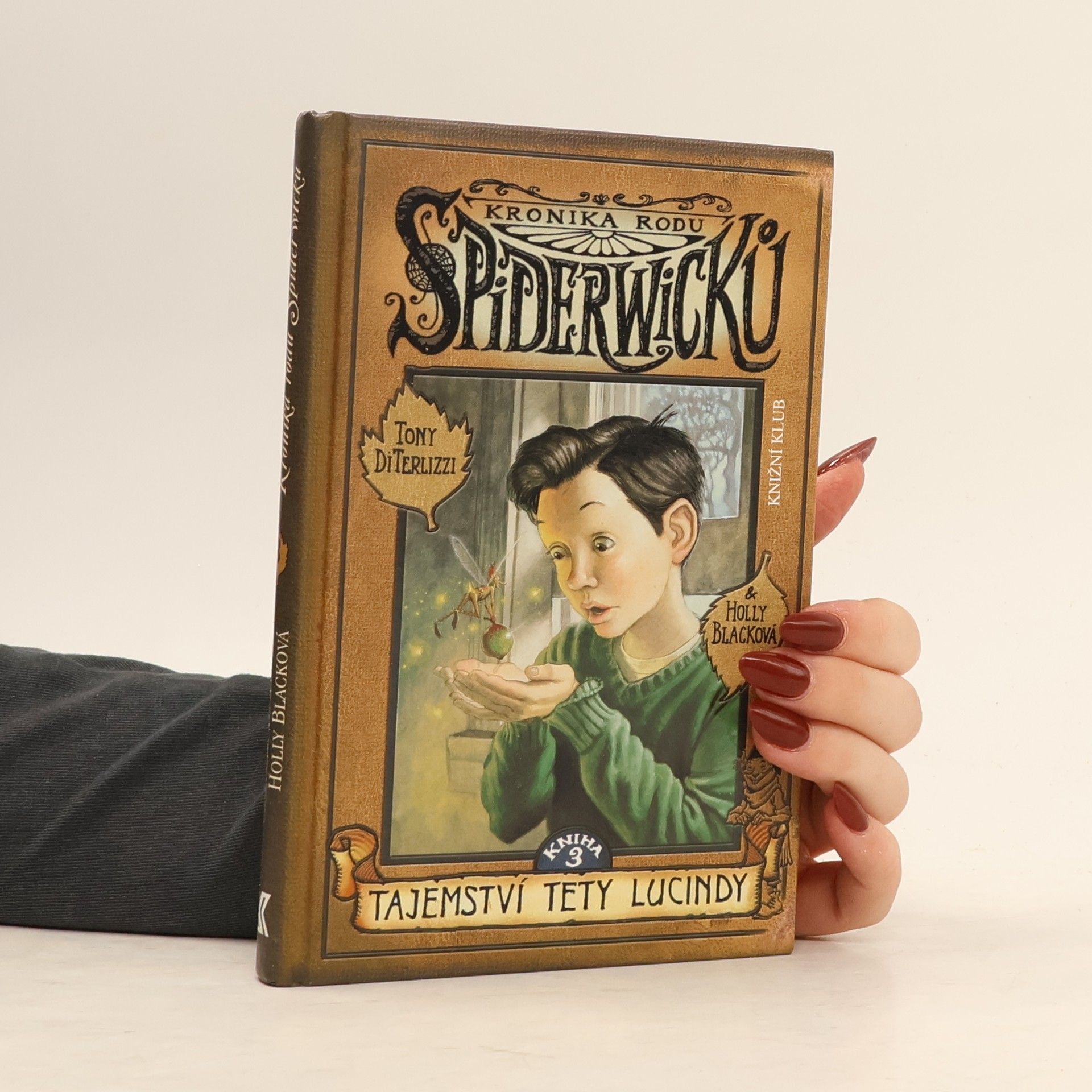 Tony Di Terlizzi Kronika rodu Spiderwicků. Kniha 3, Tajemství tety Lucindy