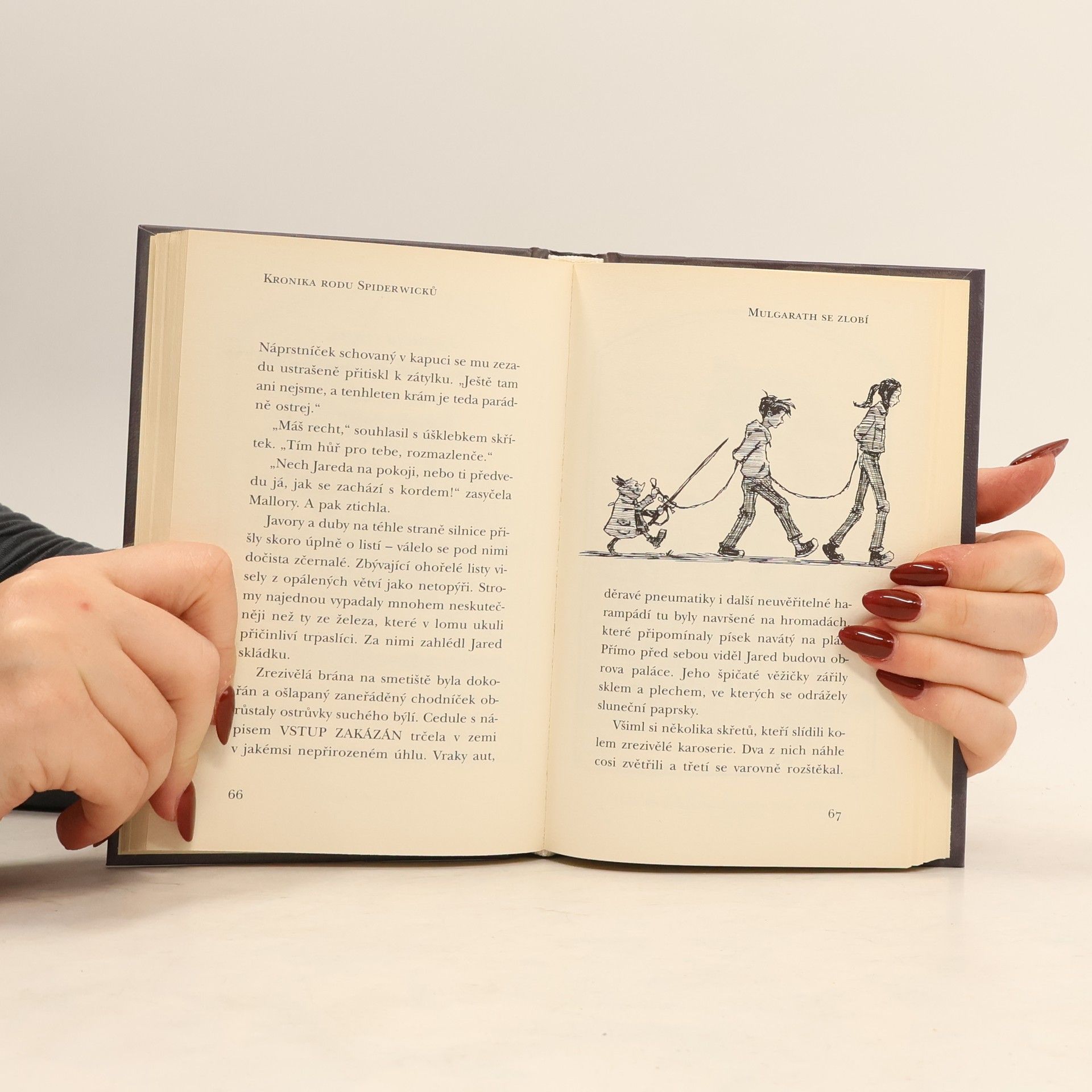 Tony DiTerlizzi Kronika rodu Spiderwicků. Kniha 5, Mulgarath se zlobí
