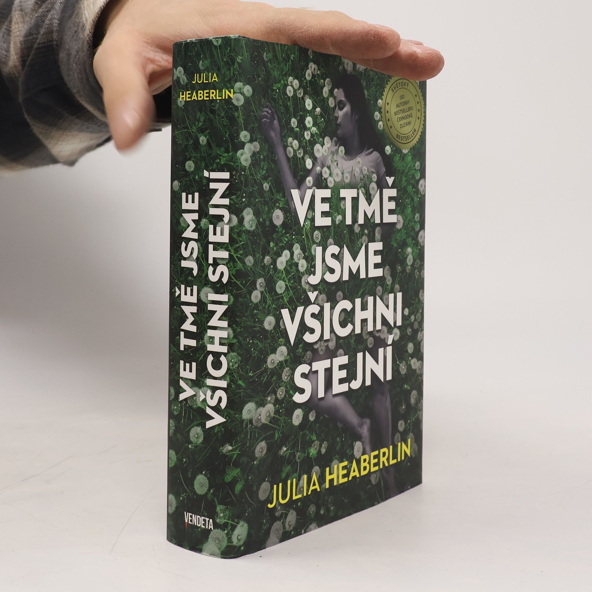 Julia Heaberlin Ve tmě jsme všichni stejní