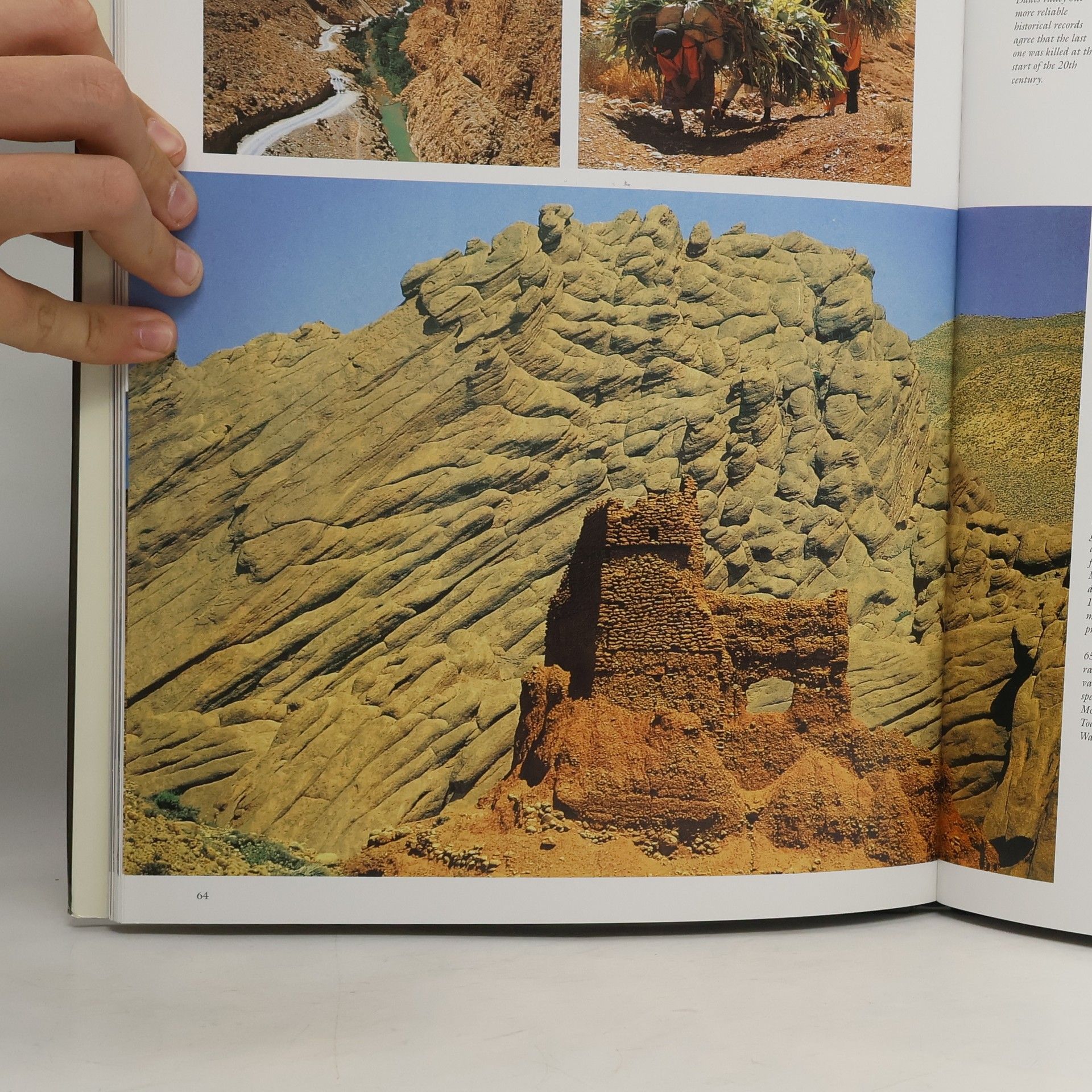 Guido Barosio Morocco