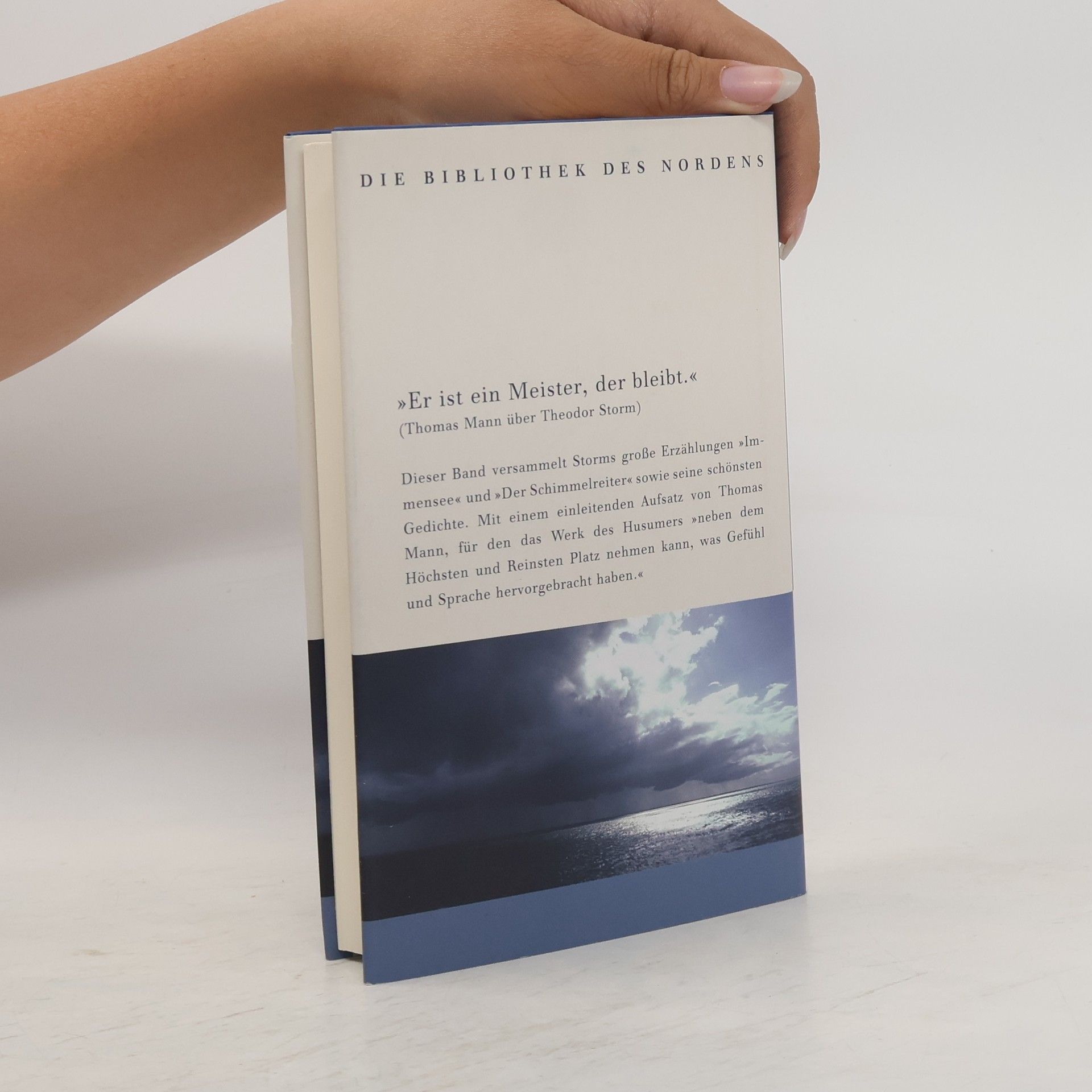 Theodor Storm Durch die Stille braust das Meer