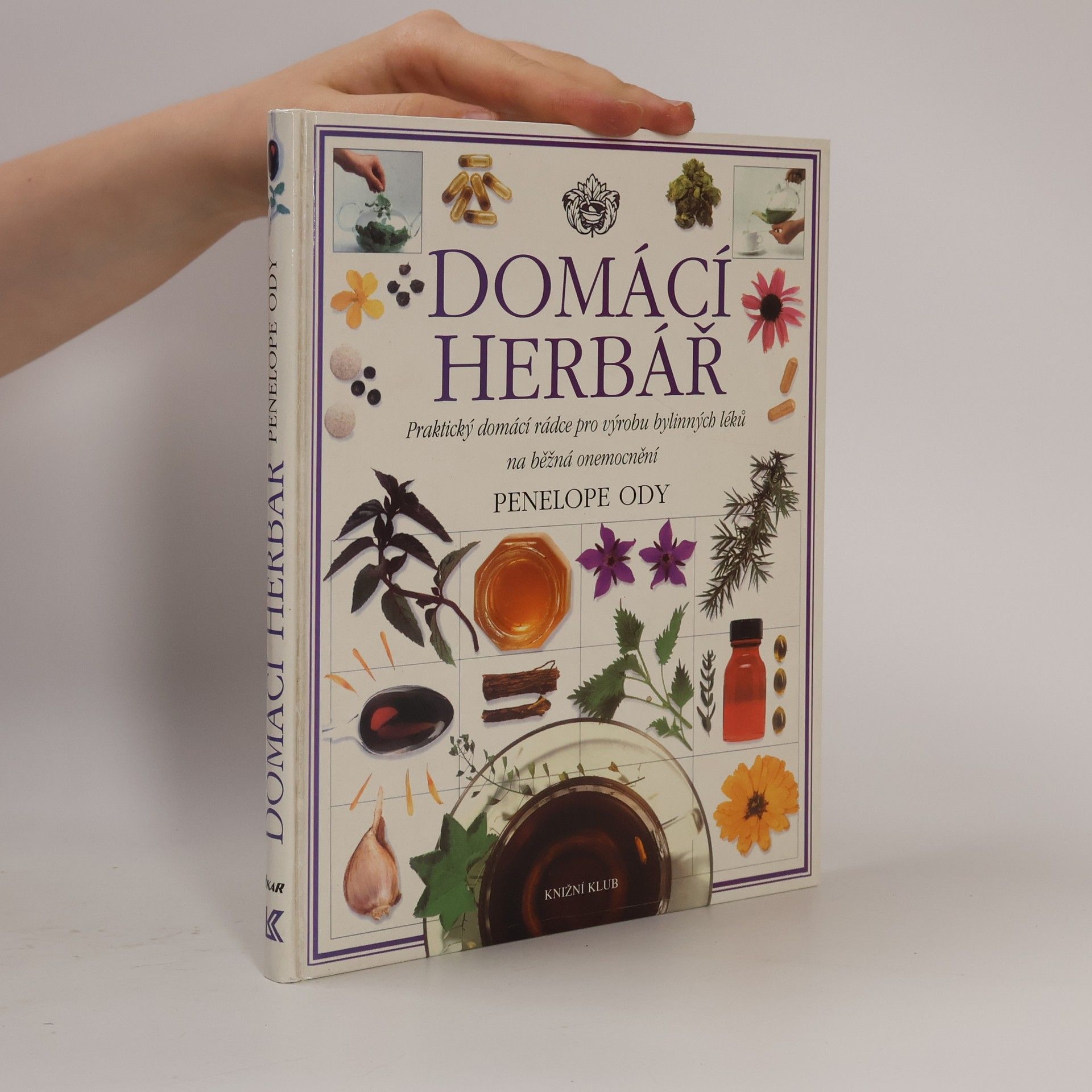 Pénélope Ody Domácí herbář : praktický domácí rádce pro výrobu bylinných léků na běžná onemocnění