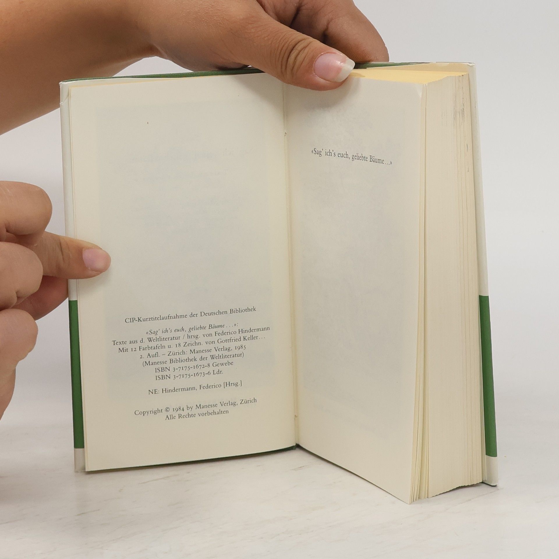 Federico Hindermann Sag' ich's euch, geliebte Bäume.... Texte aus der Weltliteratur