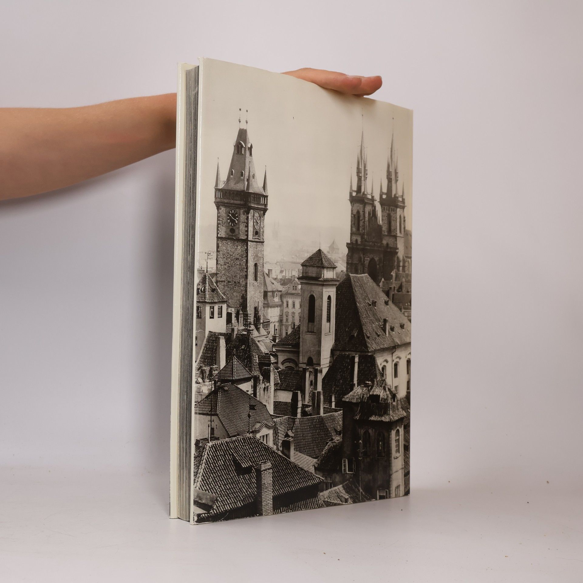 Karel Plicka Praha ve fotografii