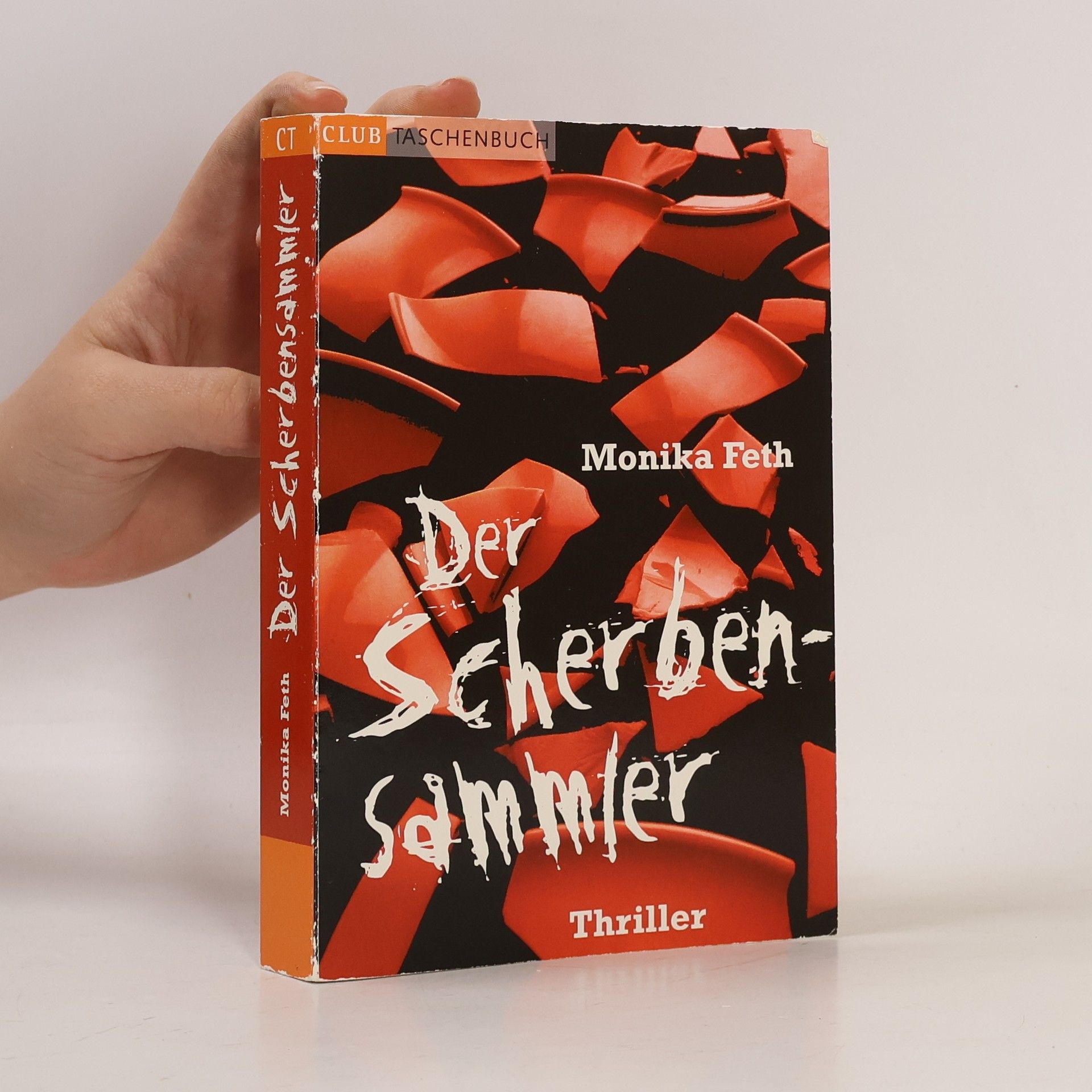 Monika Feth Der Scherbensammler