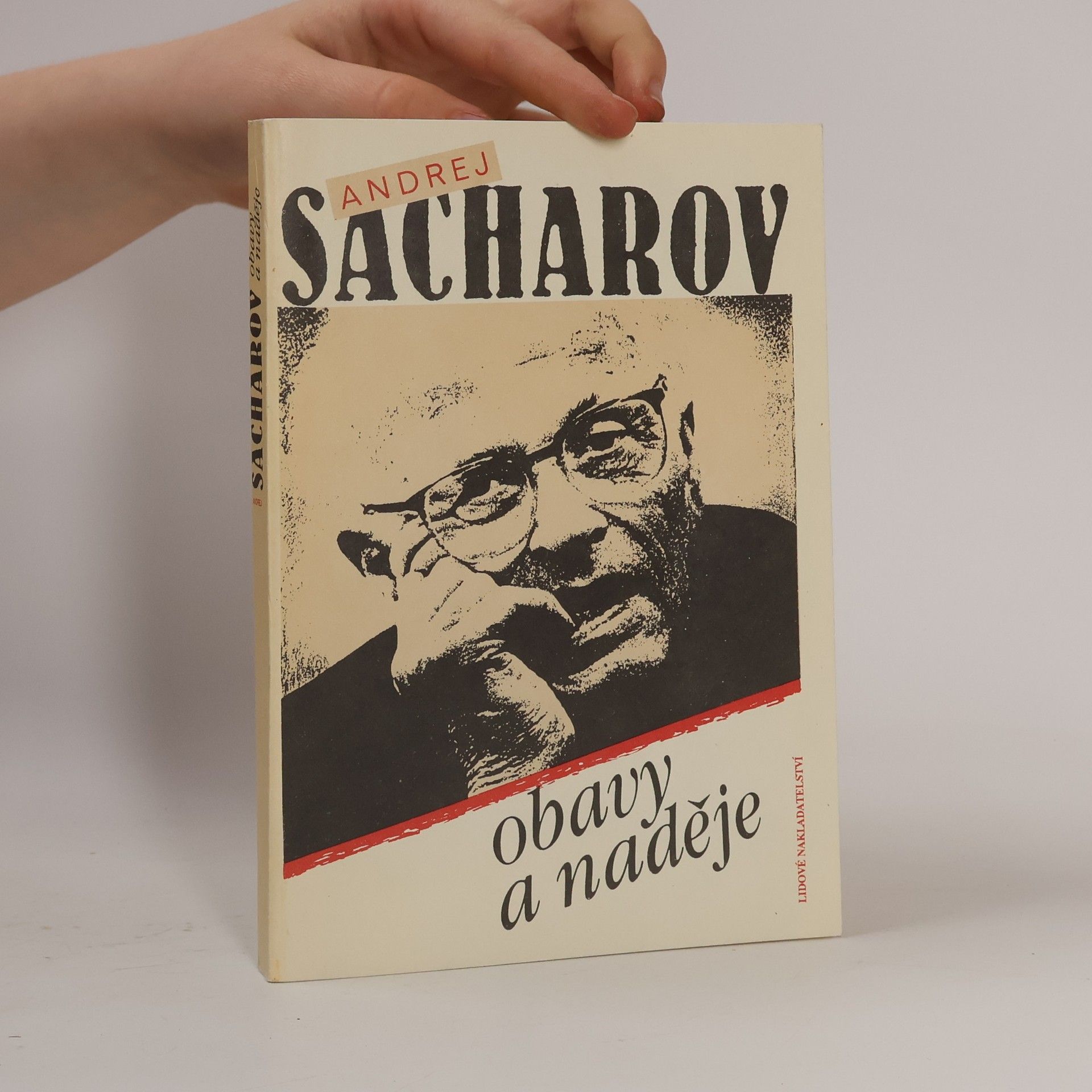 Obavy a naděje : [sborník statí a projevů]