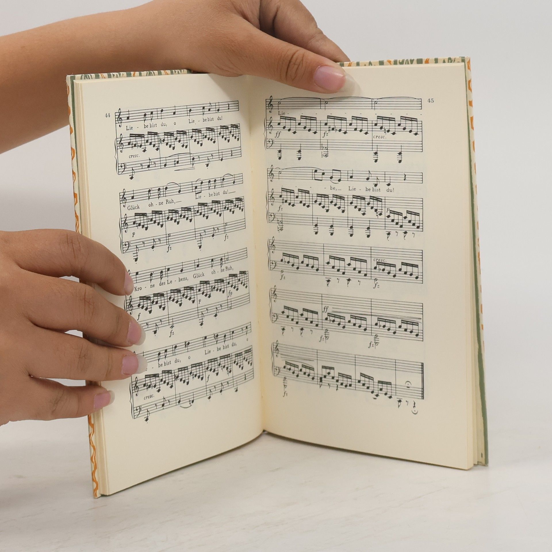 Franz Schubert Goethe-Lieder