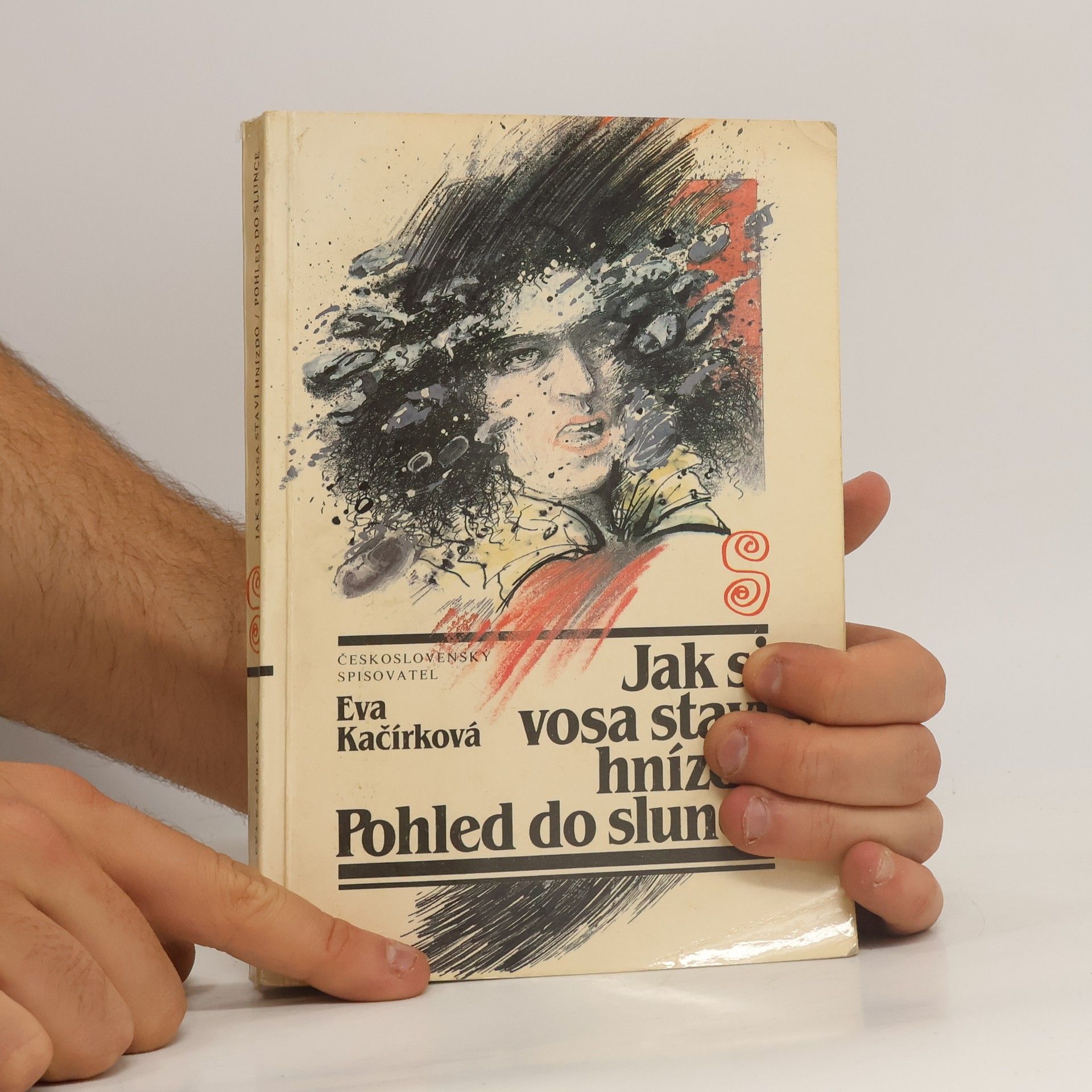 Kačírková Eva Jak si vosa staví hnízdo. Pohled do slunce