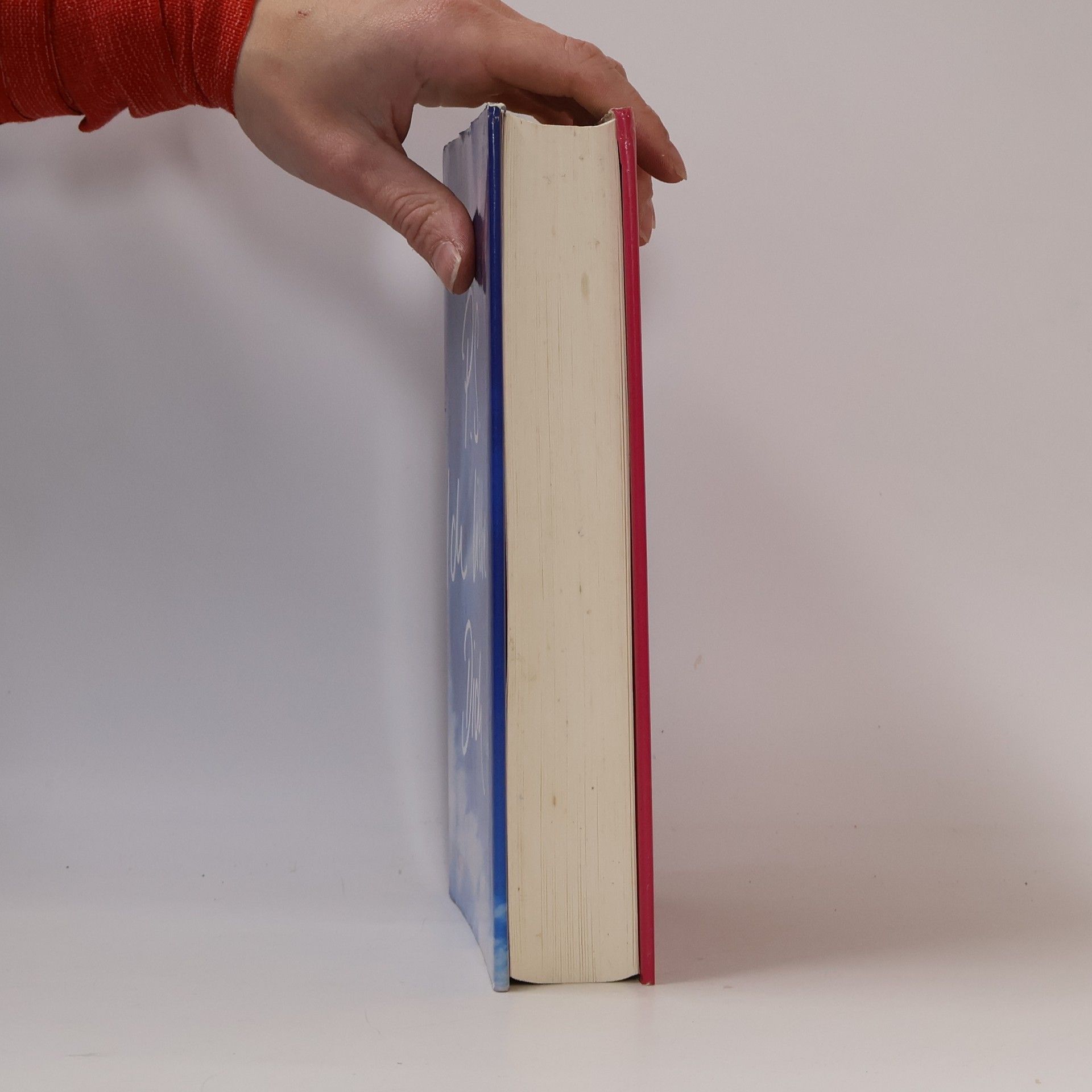 Cecelia Ahern PS: Ich liebe dich
