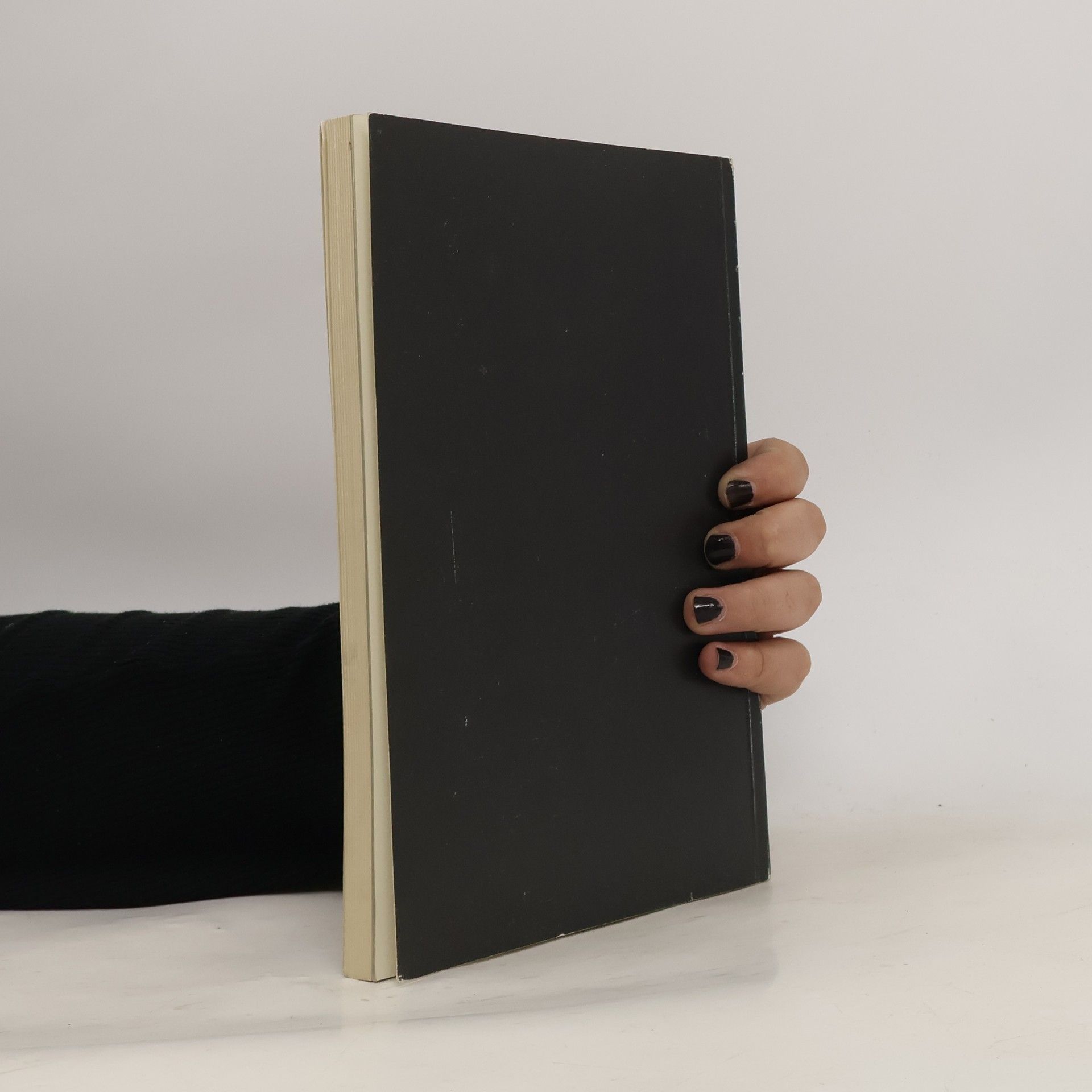 Joseph Focarino Handbook of Paintings