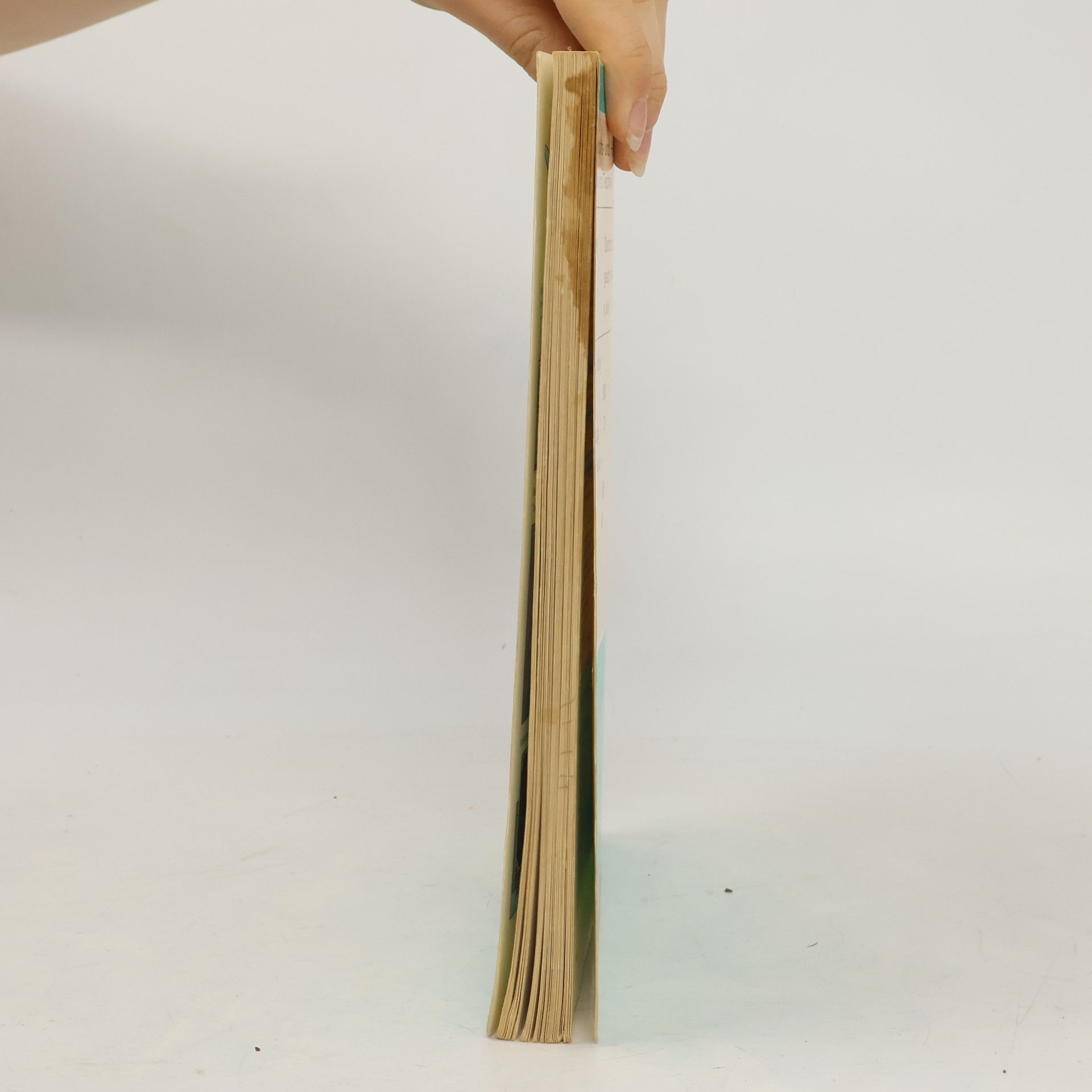 H. Bienioschek Physik