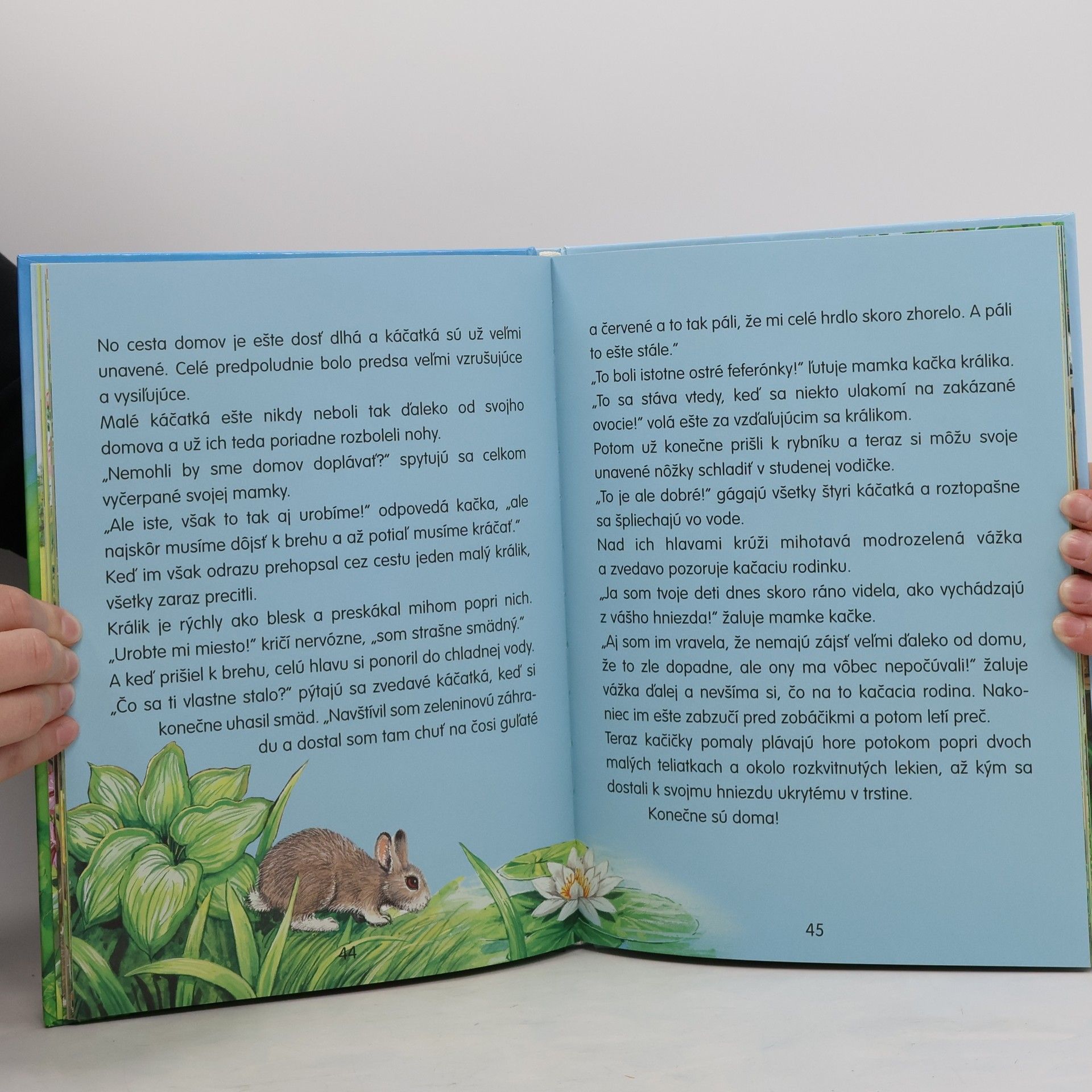 Katja Epes Zatúlané zvieratká