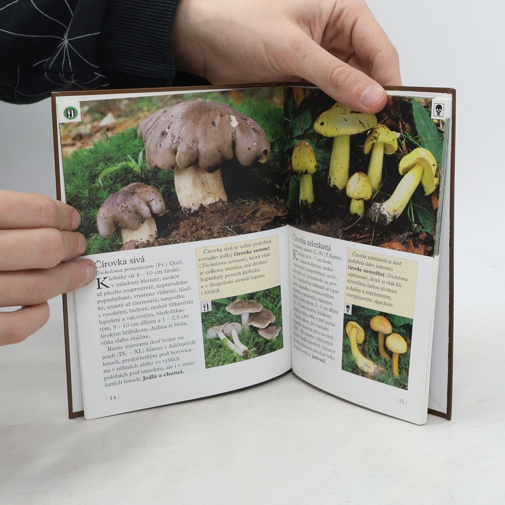Collectif d'auteurs Vreckový atlas húb