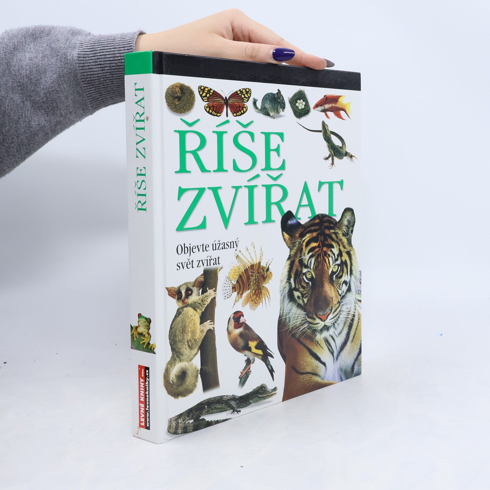 Kolektiv autorů Říše zvířat
