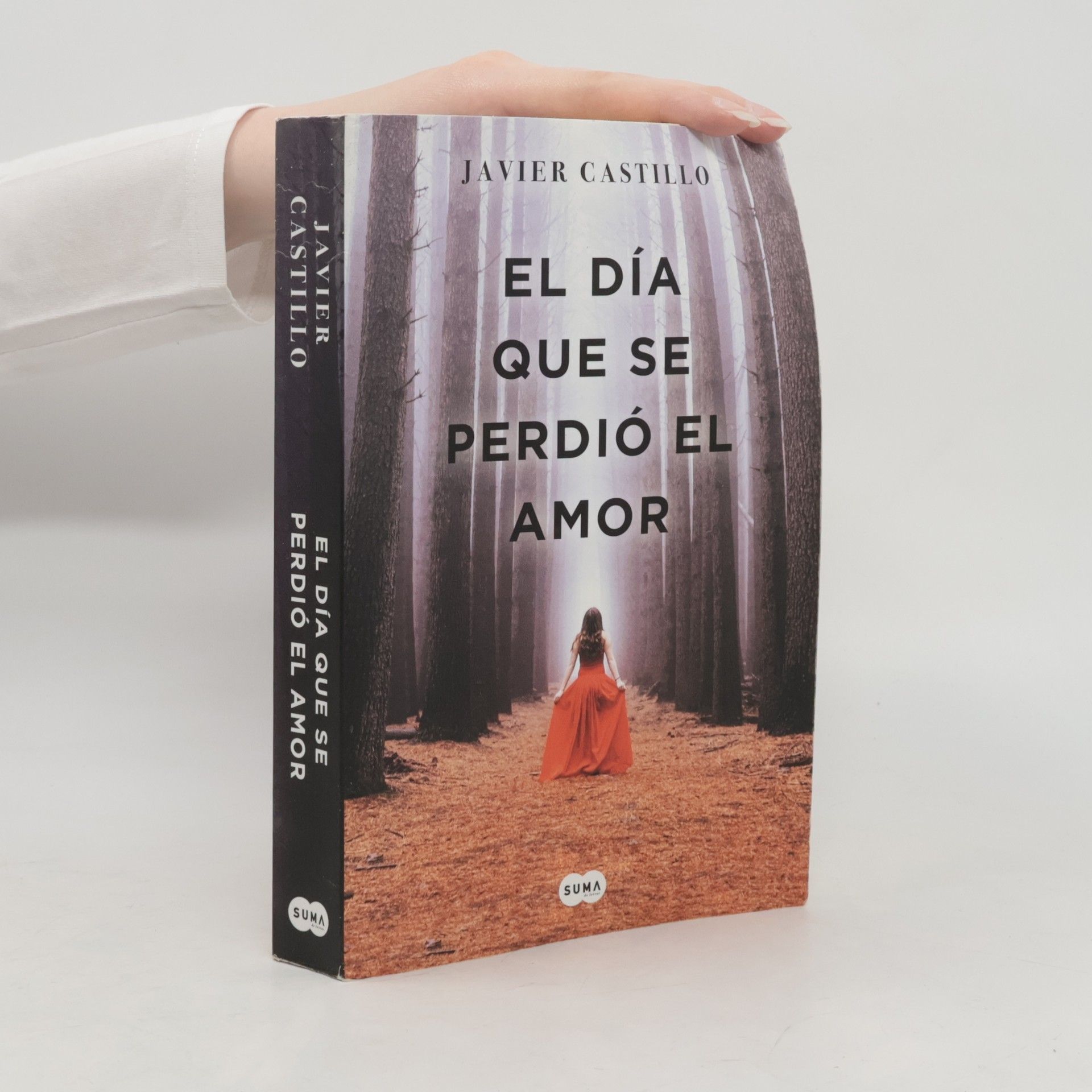 El día que se perdió el amor