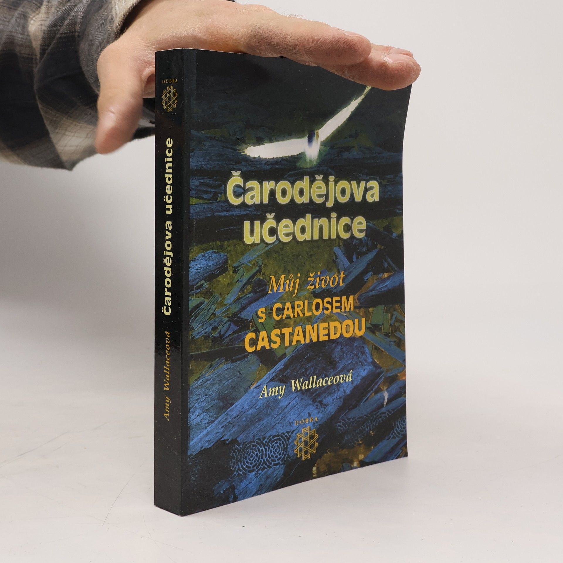 Amy Wallace Čarodějova učednice. Můj život s Carlosem Castanedou