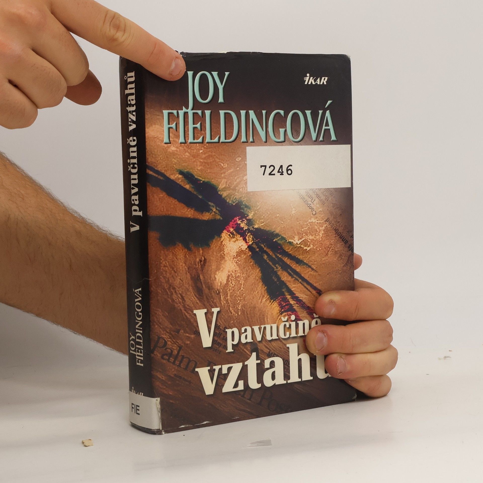 Joy Fielding V pavučině vztahů