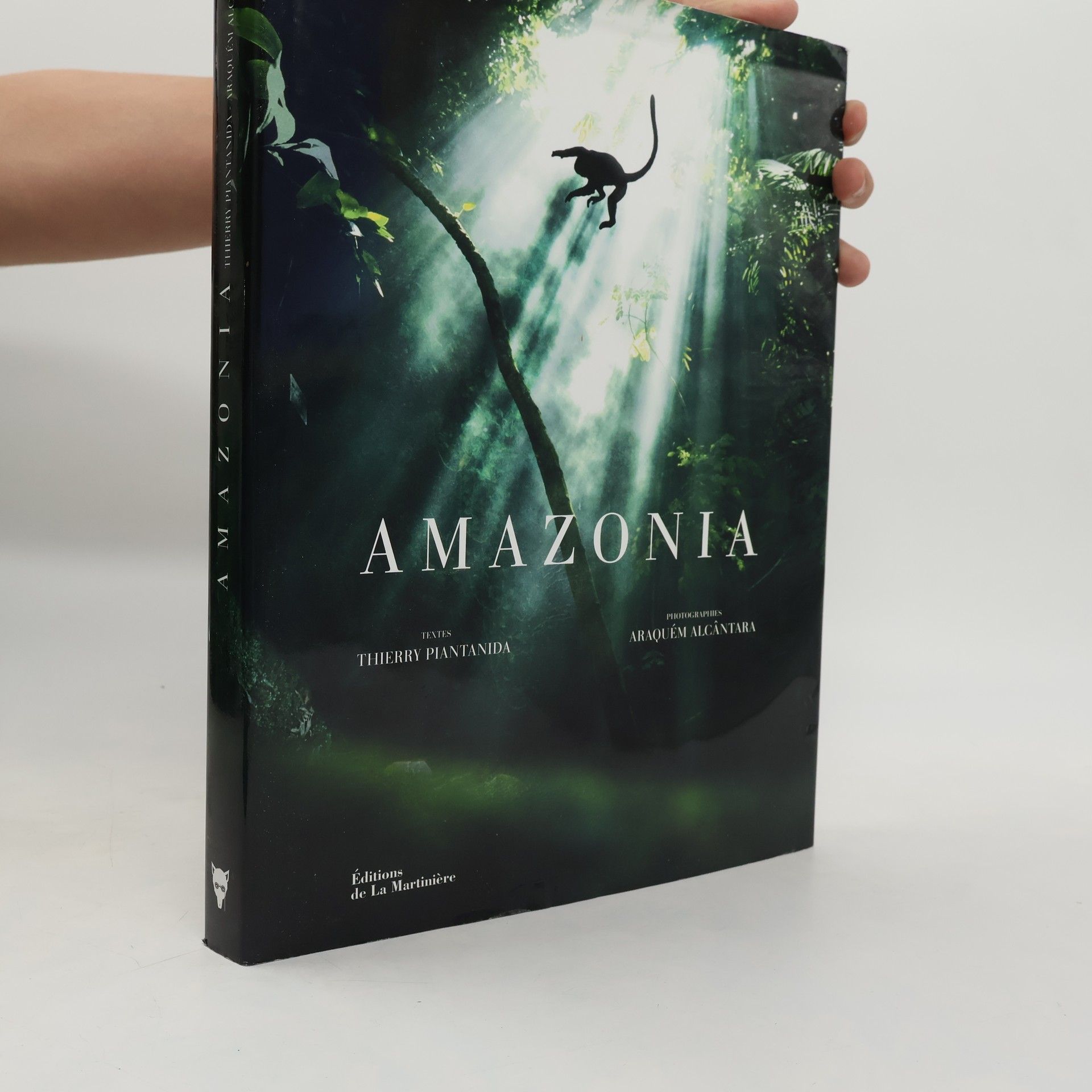 Mikaël Alcantara Amazonia