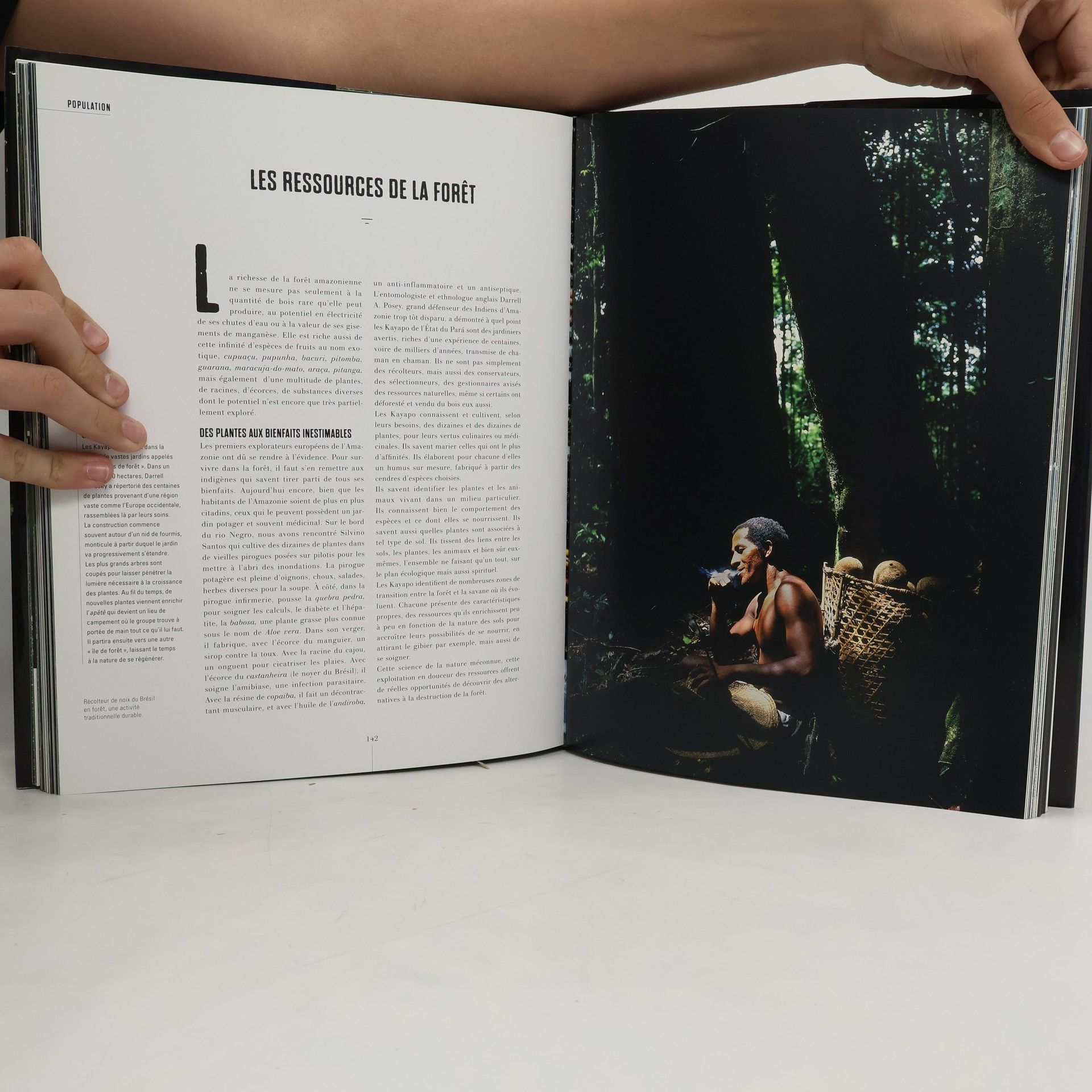 Thierry Piantanida Amazonia