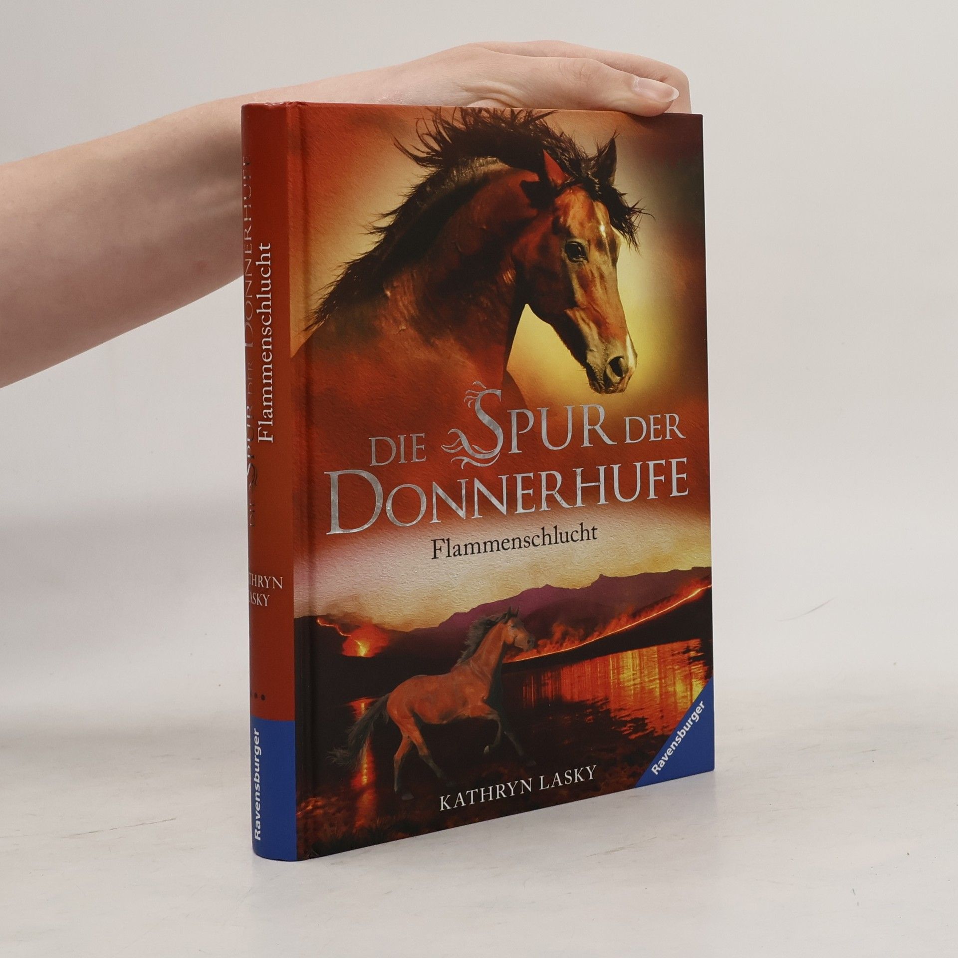 Kathryn Lasky Die Spur der Donnerhufe. Band 1: Flammenschlucht.