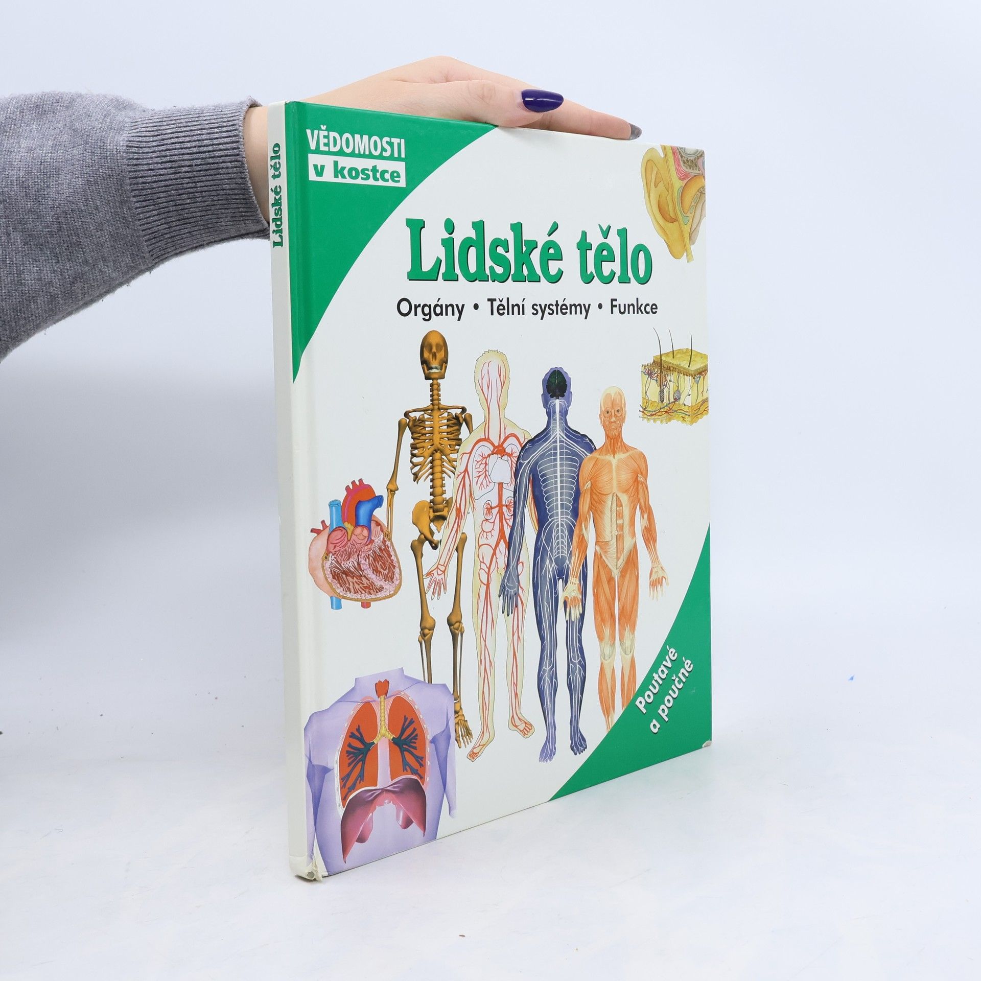 Jana Kraus Lidské tělo : orgány : tělní systémy : funkce