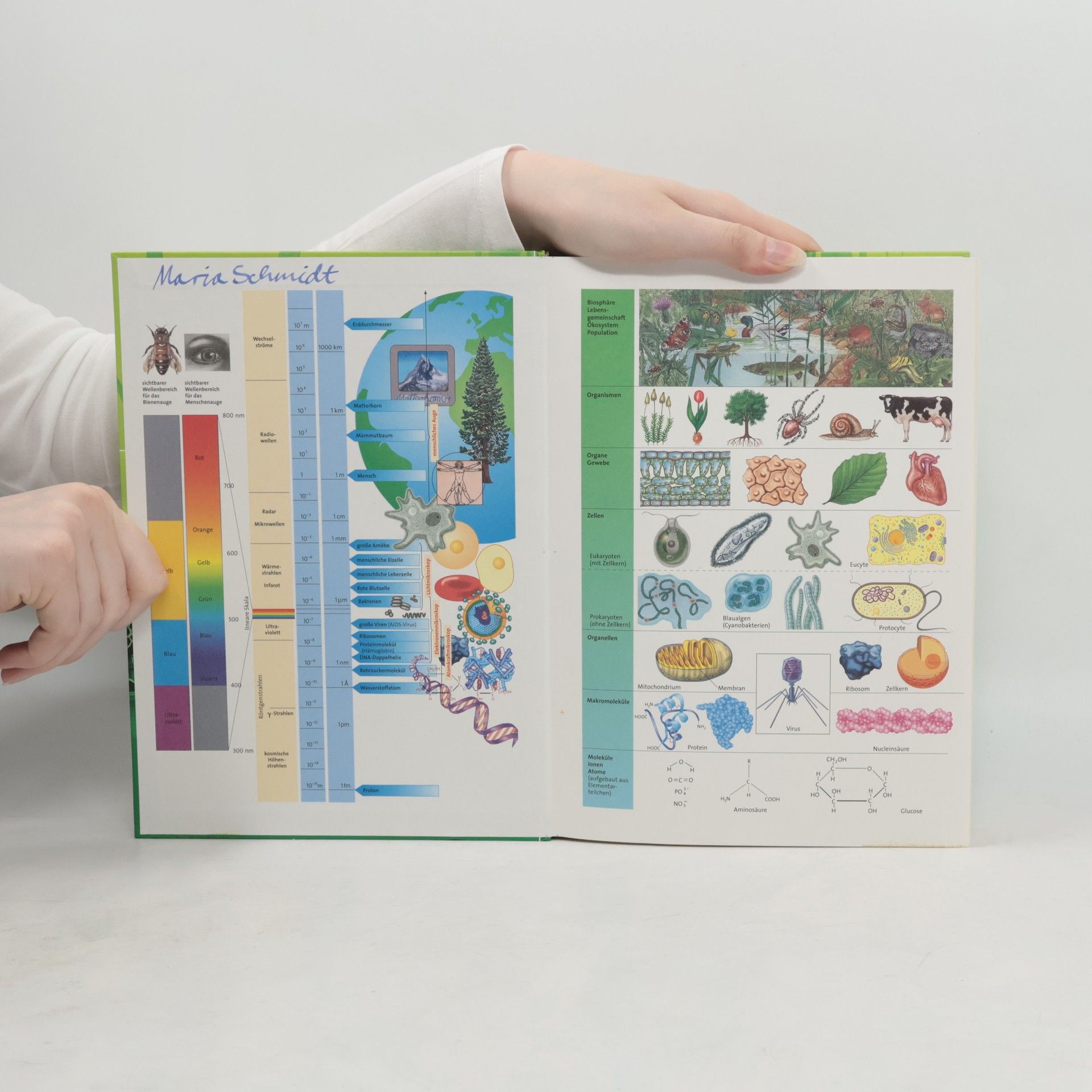 Auteurscollectief Linder Biologie
