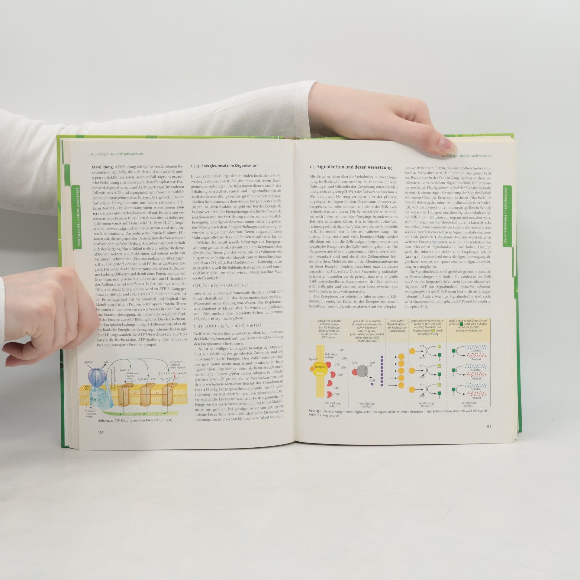 Auteurscollectief Linder Biologie