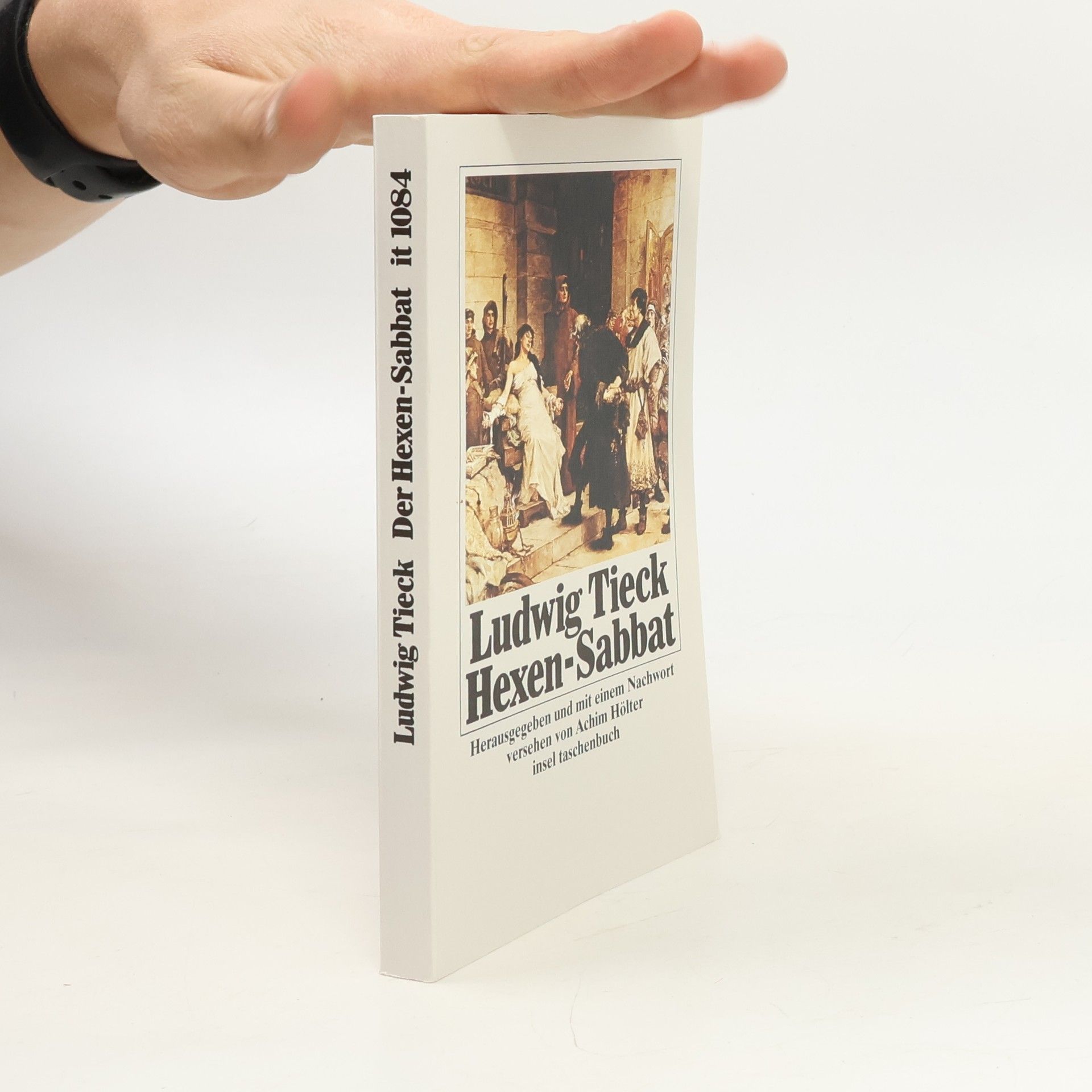 Achim Hölter Der Hexensabbat. Hrsg. u. Nachw. v. Achim Hölter