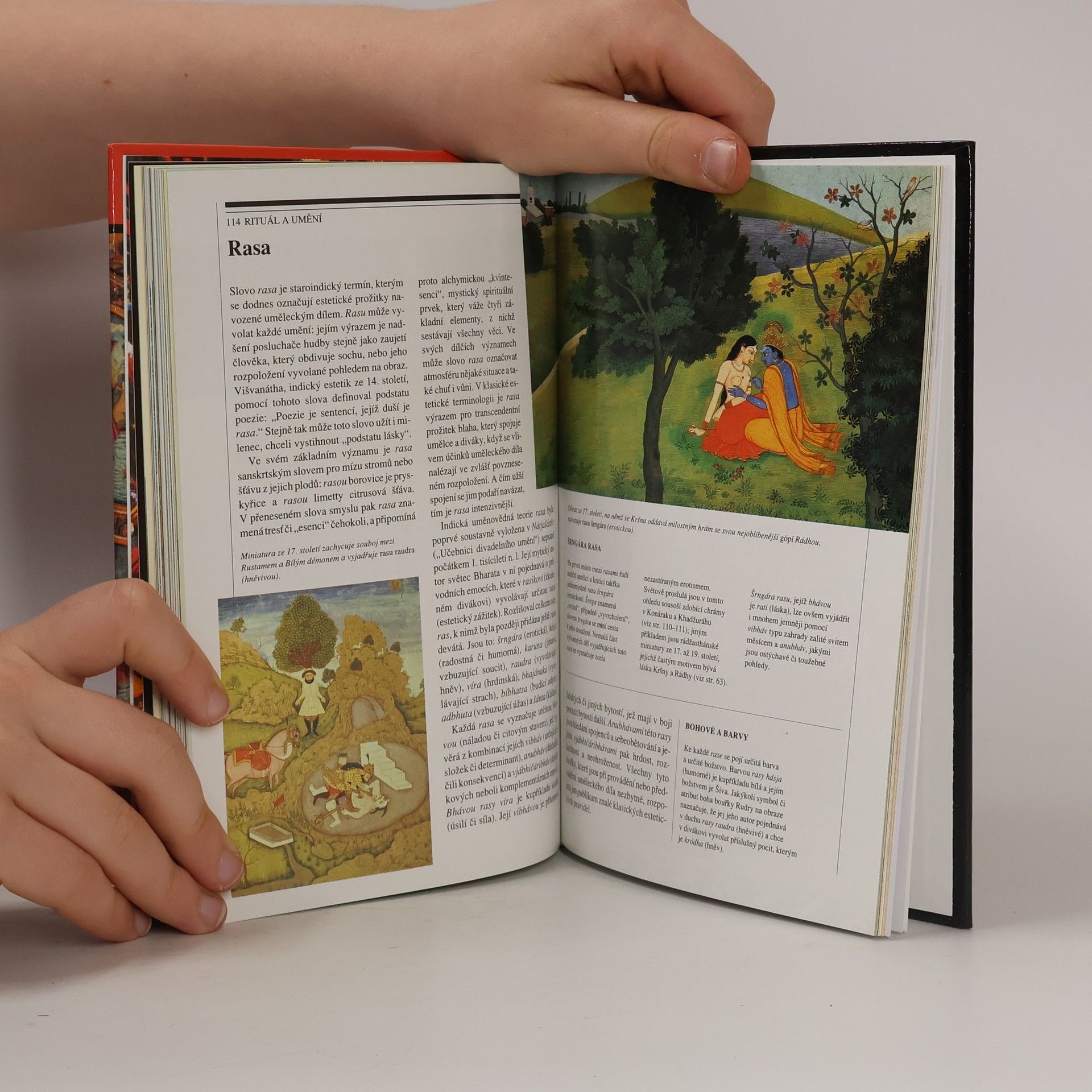 Richard Waterstone Duchovní svět Indie