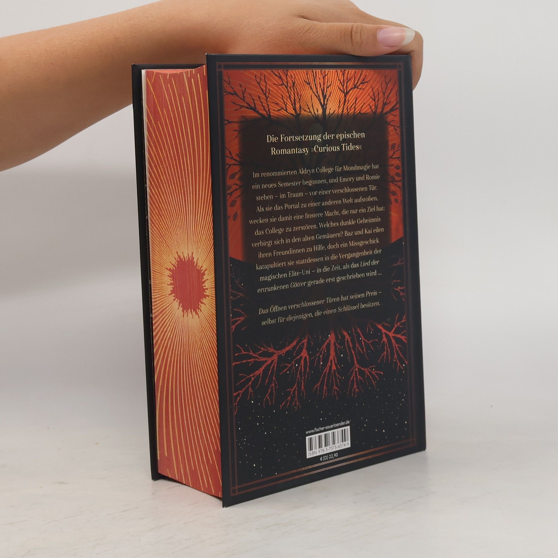 Pascale Lacelle Die Gezeiten-Saga - 2: Stranger Skies