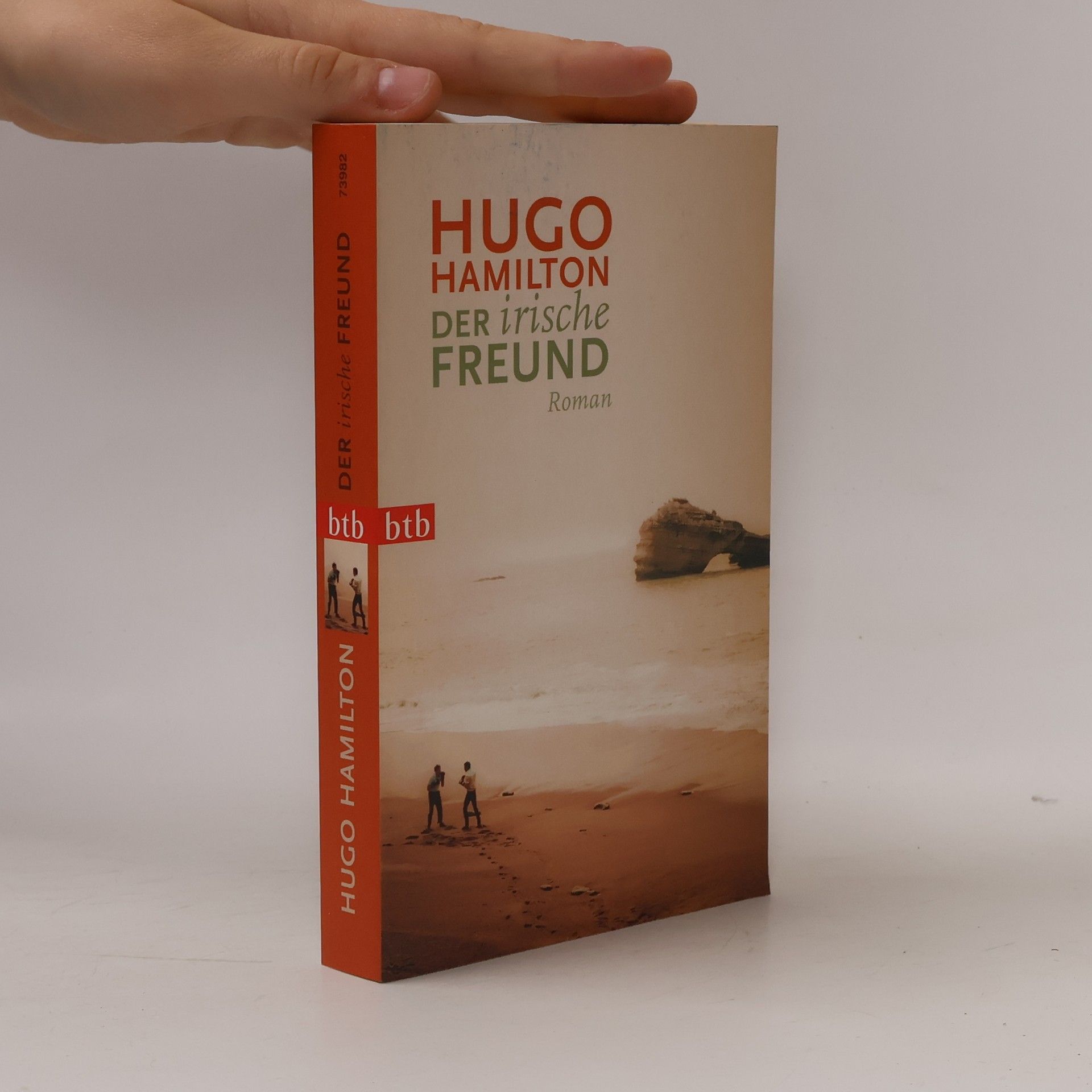 Hugo Hamilton Der irische Freund