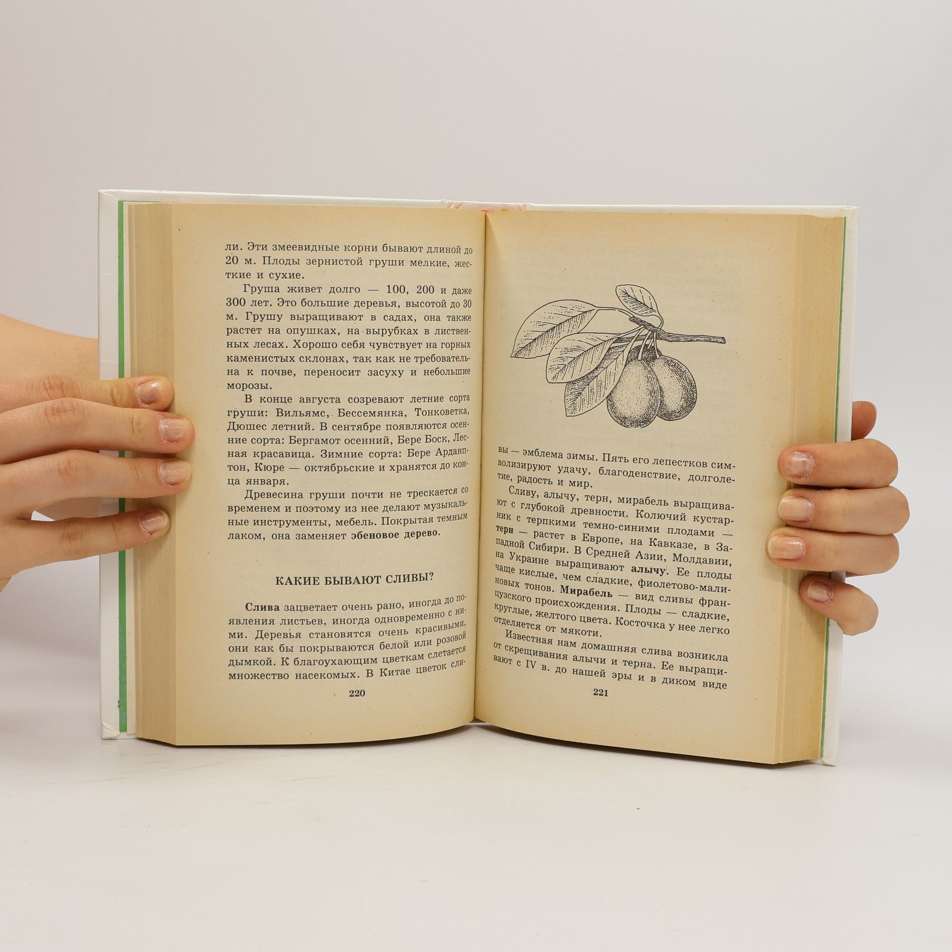 Autorenkollektiv Я познаю мир : растения. Ya poznayu mir : rasteniya