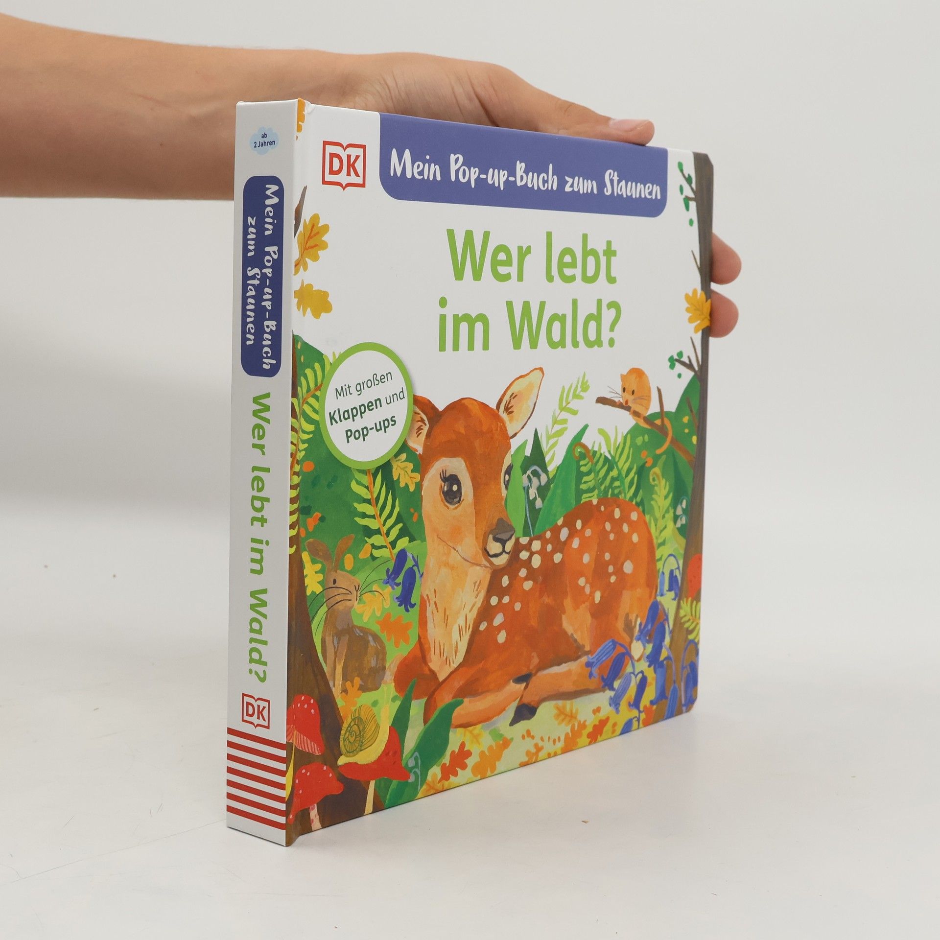 Miranda Sofroniou Mein Pop-up-Buch zum Staunen. Wer lebt im Wald?. Natur-Bilderbuch mit Klappen und Pop-ups. Natur entdecken mit bezaubernden Bildern und Reimen. Für Kinder ab 2 Jahren