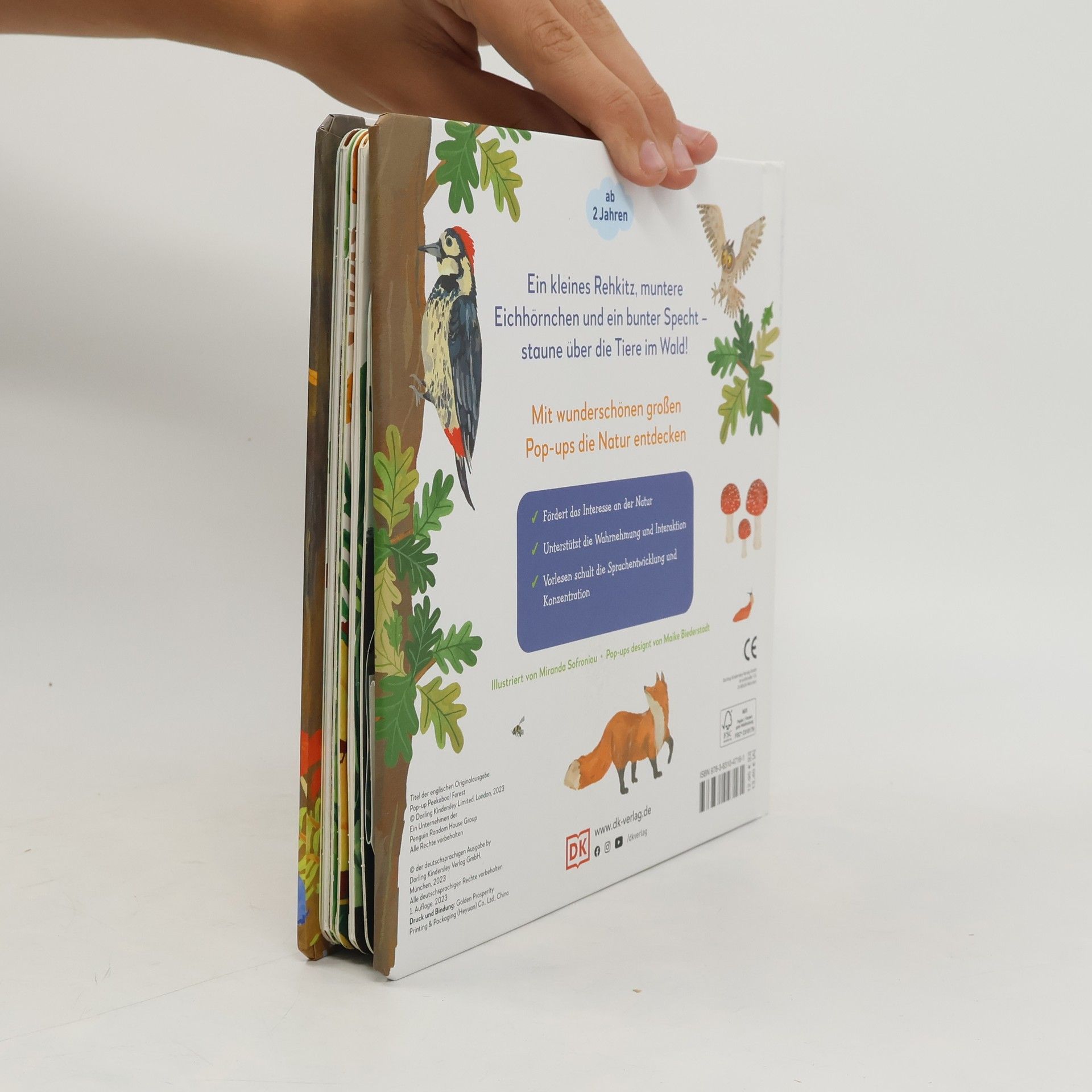 Sandra Grimm Mein Pop-up-Buch zum Staunen. Wer lebt im Wald?. Natur-Bilderbuch mit Klappen und Pop-ups. Natur entdecken mit bezaubernden Bildern und Reimen. Für Kinder ab 2 Jahren
