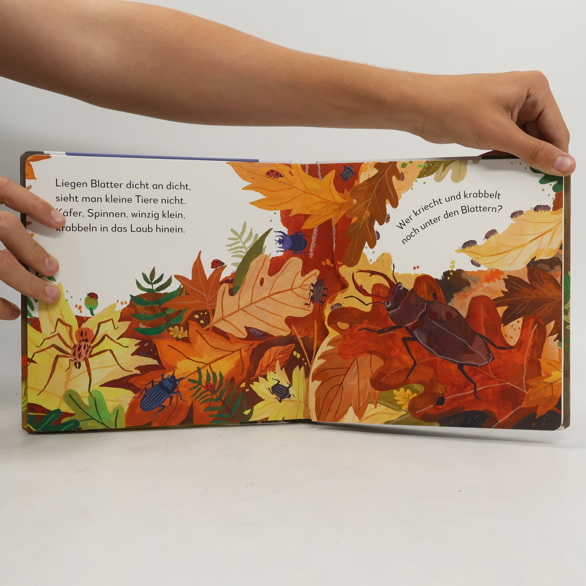 Sandra Grimm Mein Pop-up-Buch zum Staunen. Wer lebt im Wald?. Natur-Bilderbuch mit Klappen und Pop-ups. Natur entdecken mit bezaubernden Bildern und Reimen. Für Kinder ab 2 Jahren