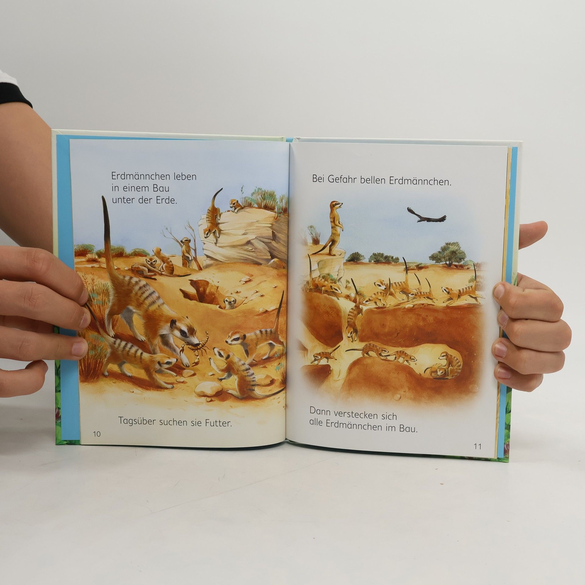 Emily Bone Mein erstes Natur-Wissen: Tierkinder
