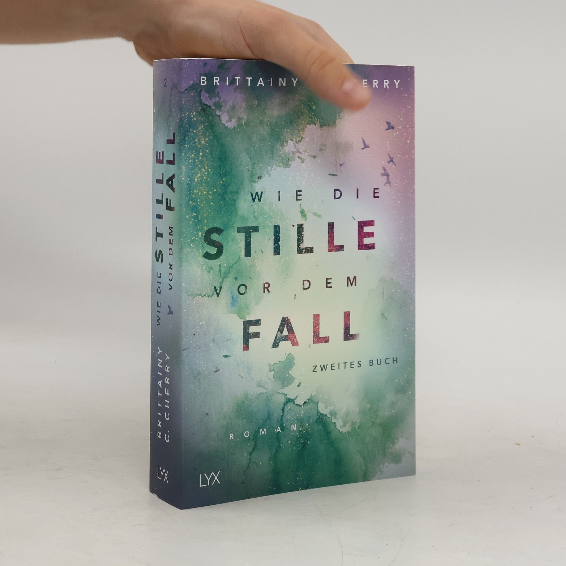 Brittainy C. Cherry Wie die Stille vor dem Fall 2