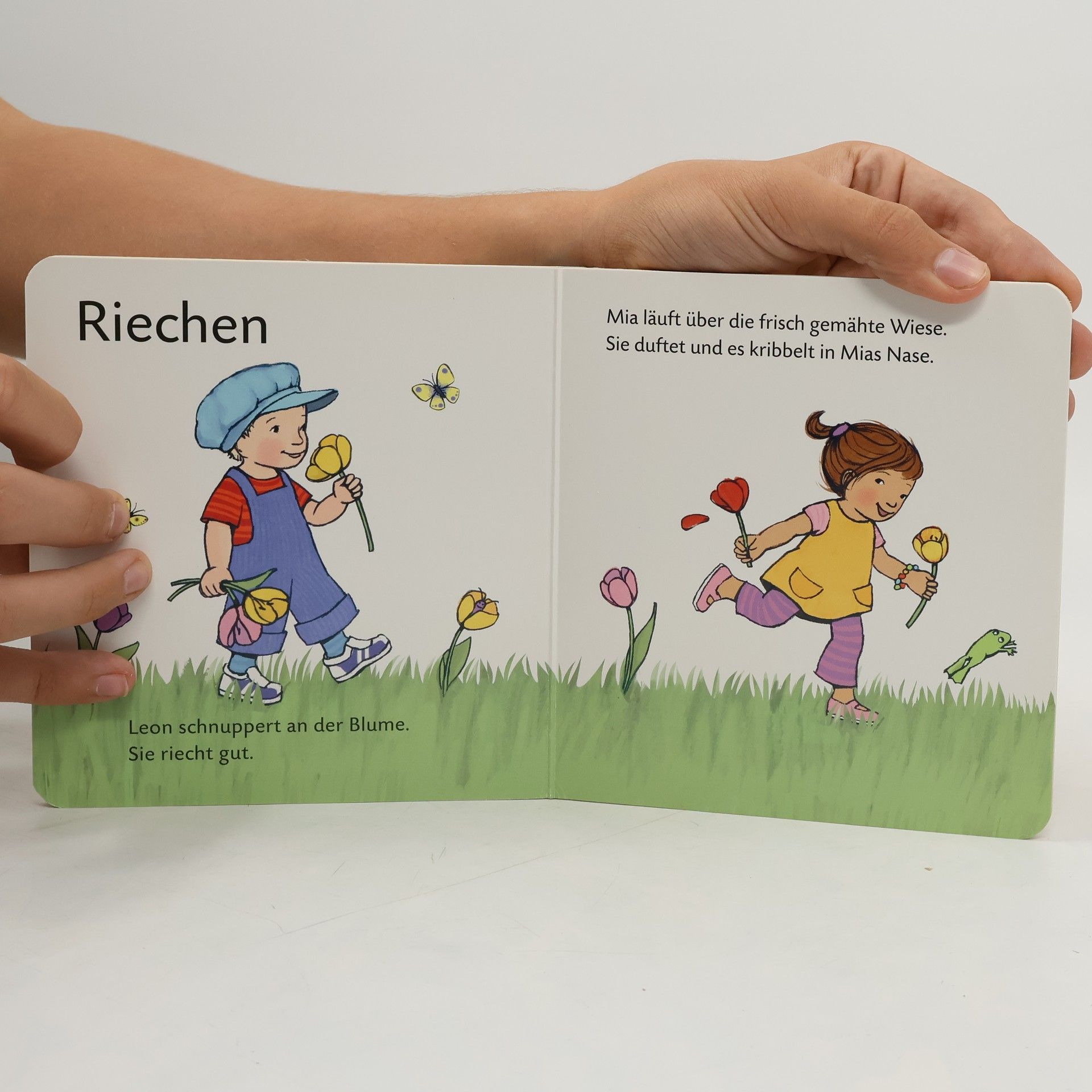 Katharina Bußhoff Alle meine Sinne